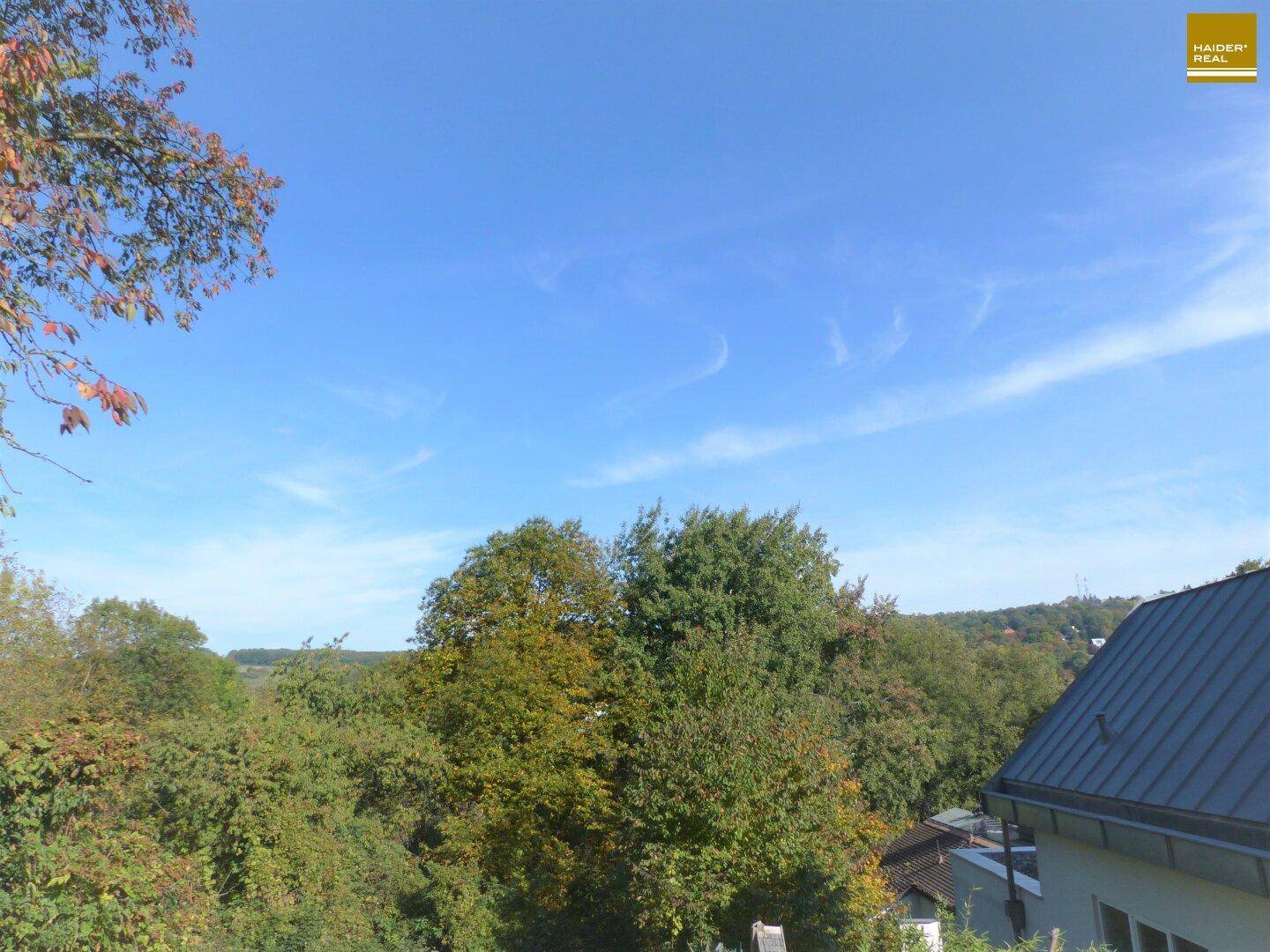 Weitblick über grüne Baumwipfel und ein Dach unter strahlend blauem Himmel.