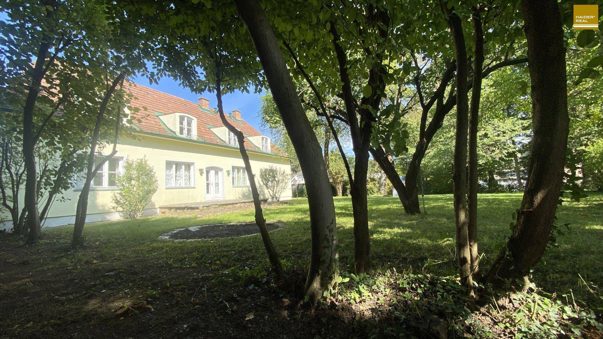 Seitliche Ansicht des Hauses mit großem Garten und altem Baumbestand unter blauem Himmel.