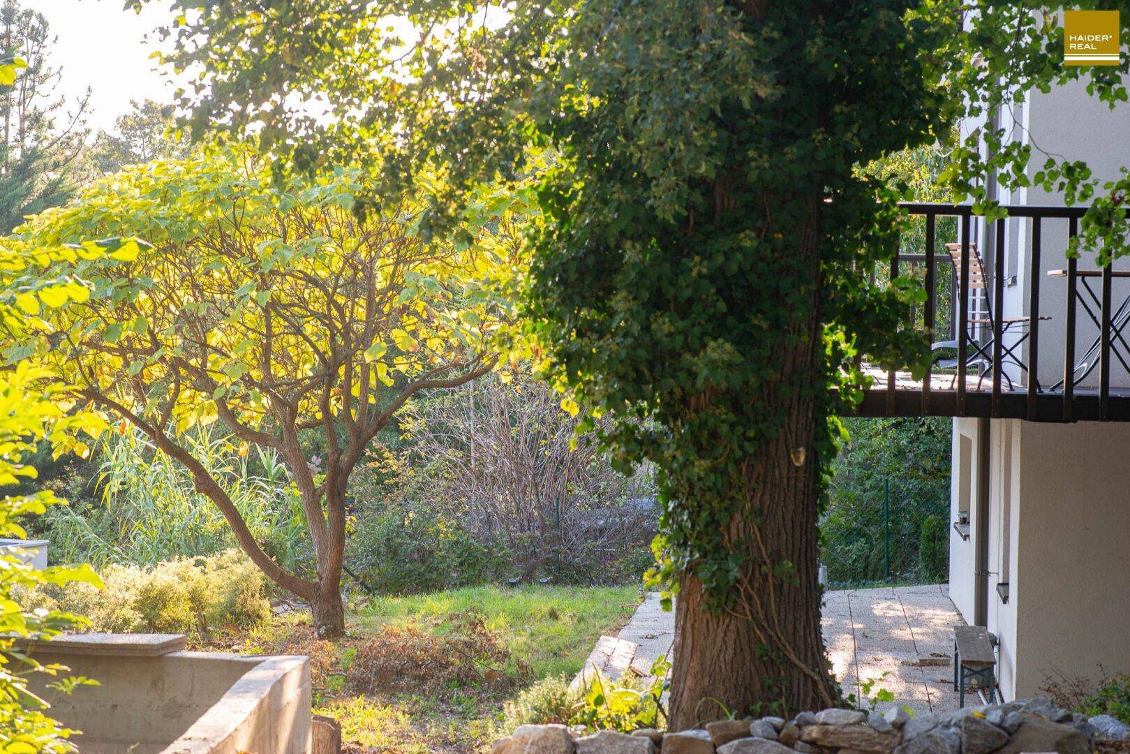 Sonniger Gartenbereich neben dem Haus mit üppiger Vegetation und altem Baumbestand.