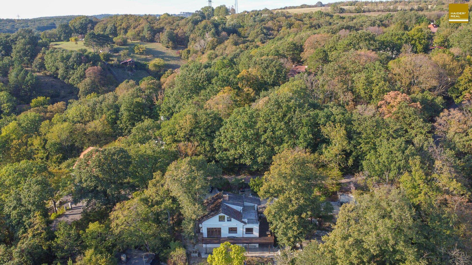 Panoramablick auf das Haus, eingebettet in eine weitläufige grüne Hügellandschaft.