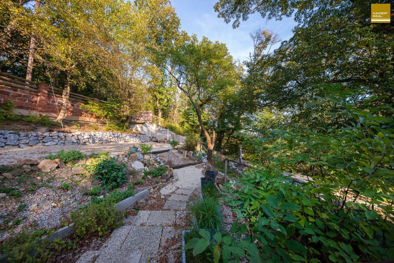 Steinpfad schlängelt sich durch den naturbelassenen Garten mit Felsen und Sträuchern.