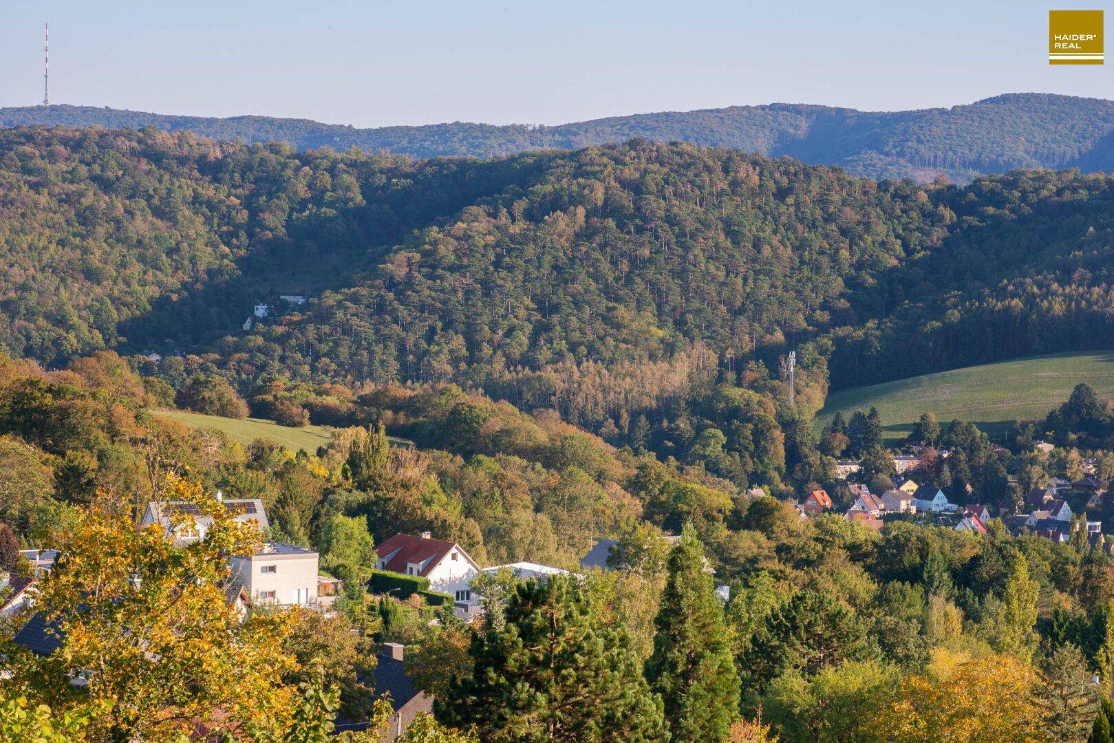 Weitläufiger Panoramablick über die bewaldeten Hügel und eine malerische Siedlung.