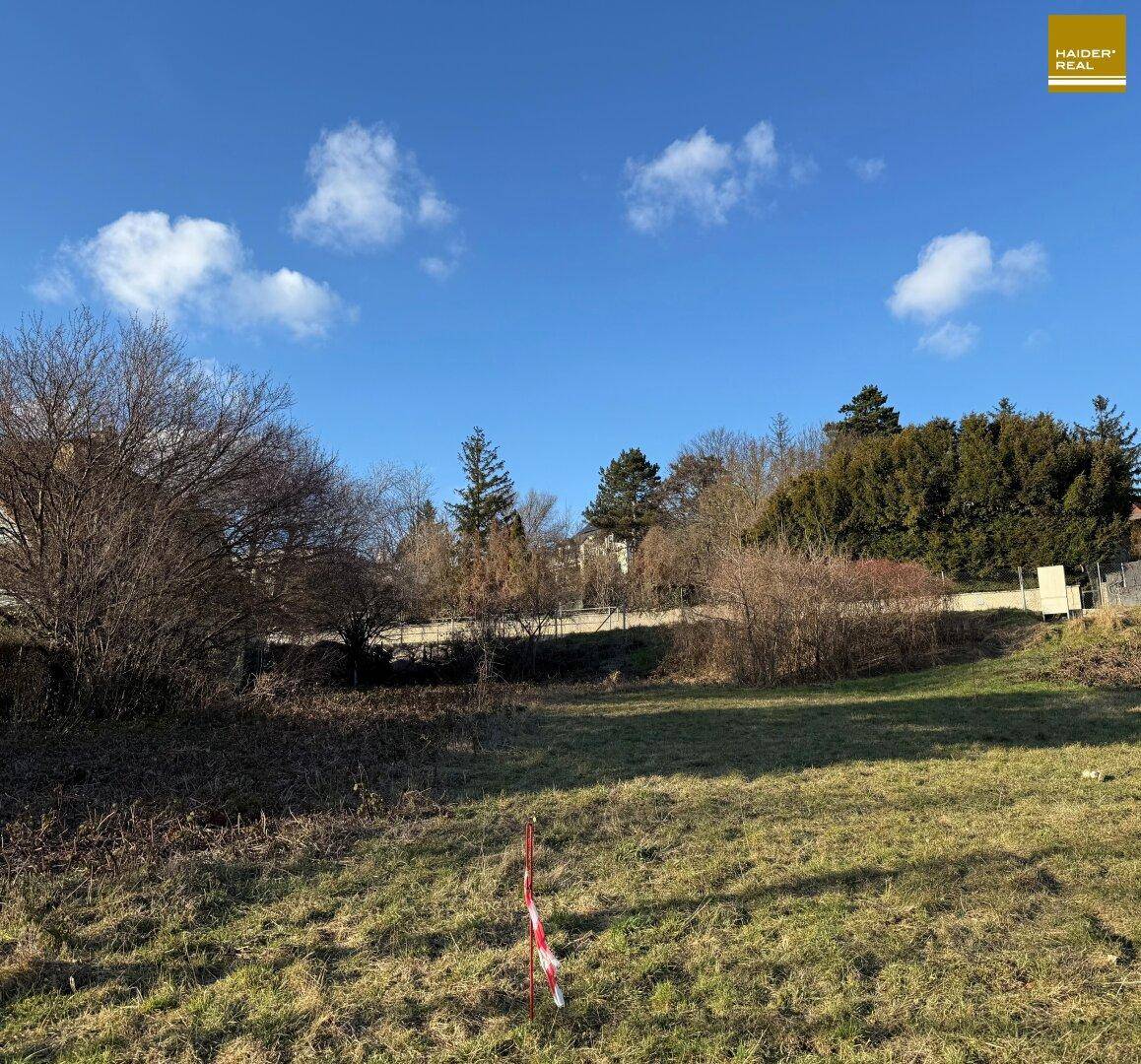 Ölberg - Fantastischer Bauplatz mit Fernsicht - Ansicht 2