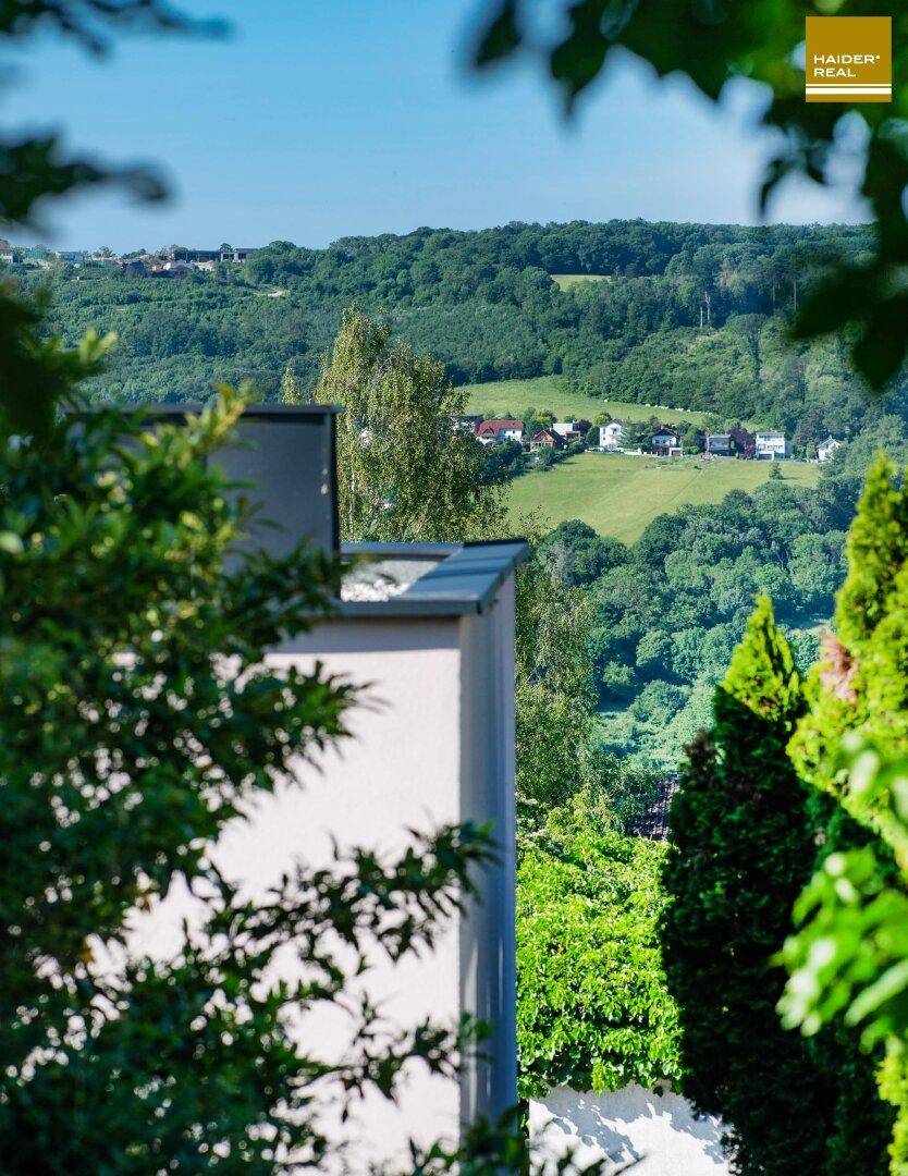 Malerischer Blick auf die grüne Hügellandschaft durch die Baumwipfel.