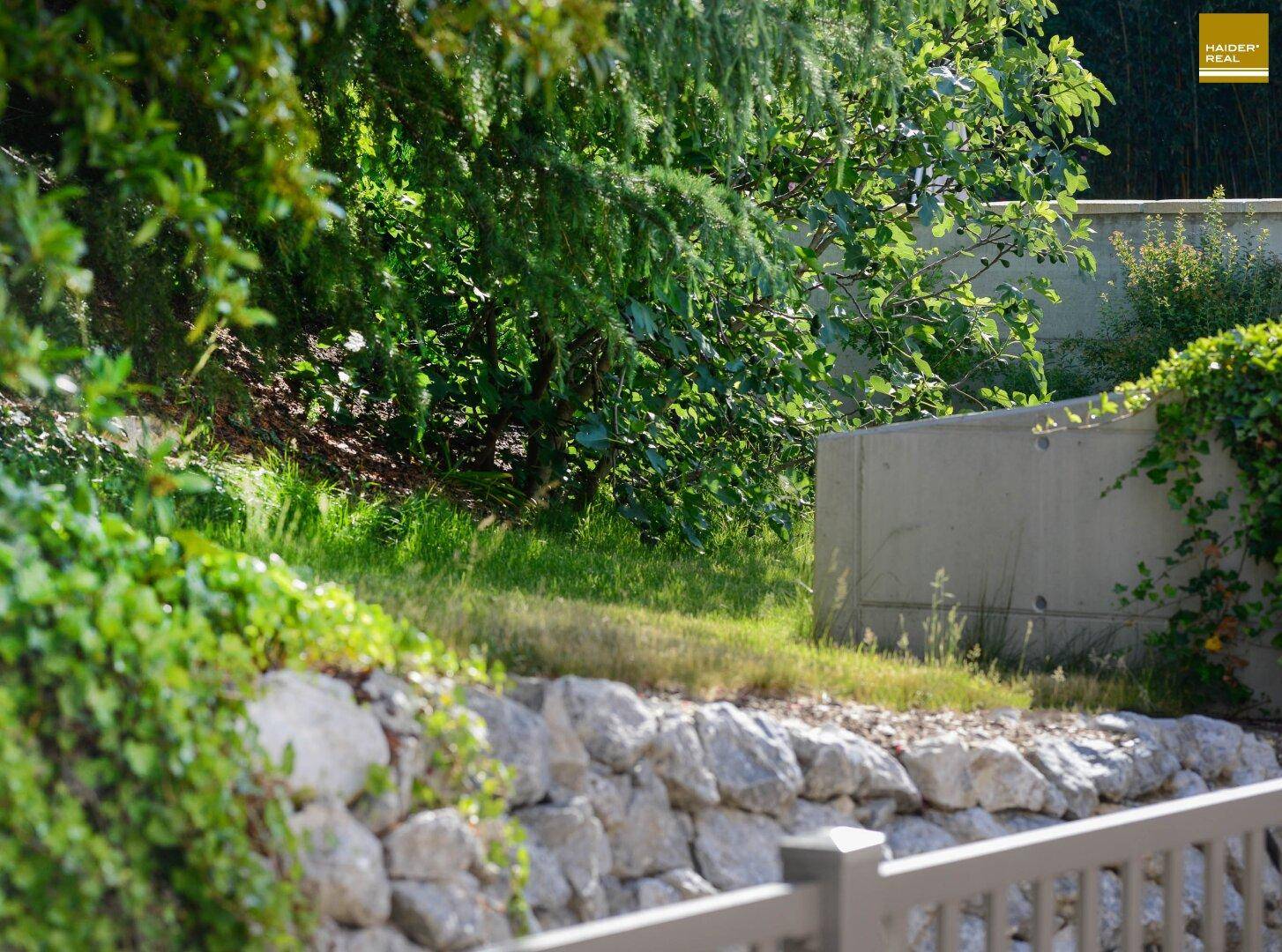Naturnaher Gartenbereich mit Steinmauer und üppiger Vegetation.