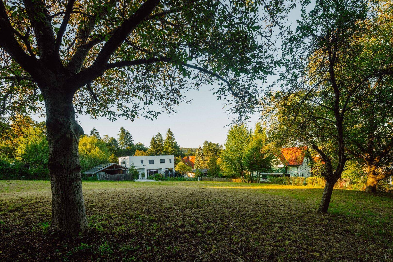 Grundstück Pressbaum