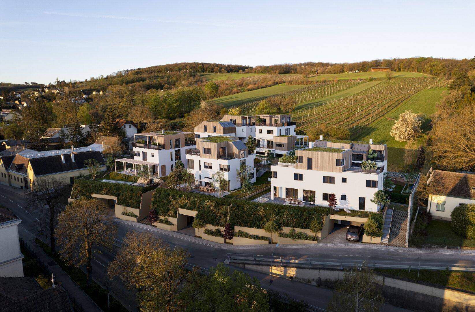 DEIN WEINGARTEN - Grünblick in den Weinbergen - Mehr