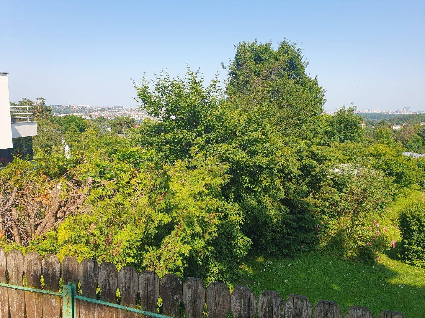 Sonniger Garten mit üppiger Vegetation, Holzzaun und weitem Blick über die Landschaft.