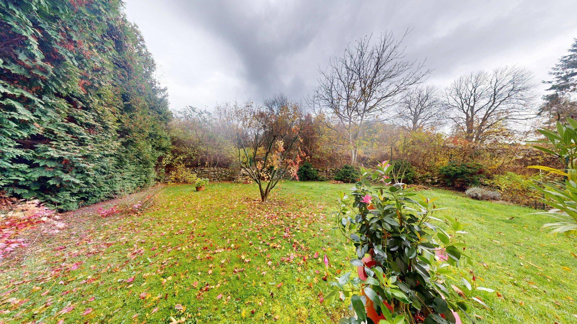Großer, gepflegter Garten mit Rasenfläche und herbstlicher Bepflanzung.