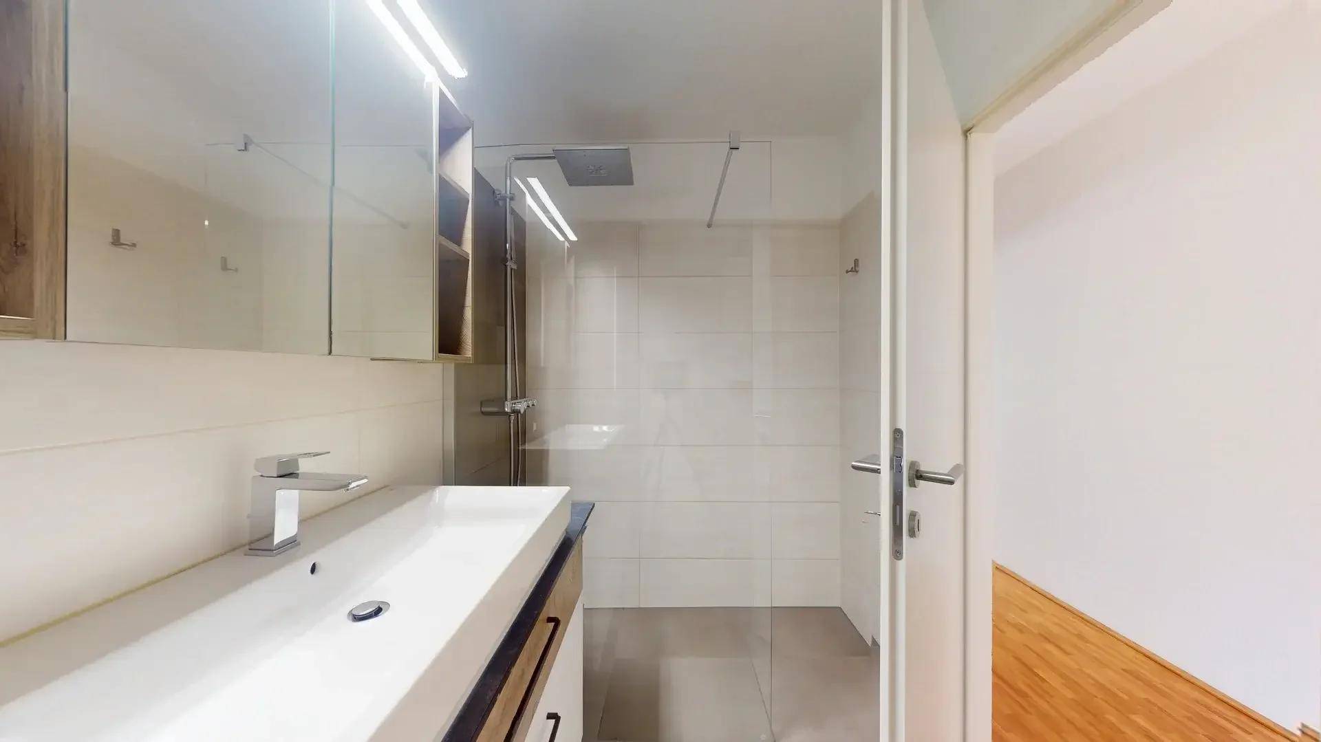 Modernes Badezimmer mit ebenerdiger Dusche, Einzelwaschbecken und Spiegelschrank.