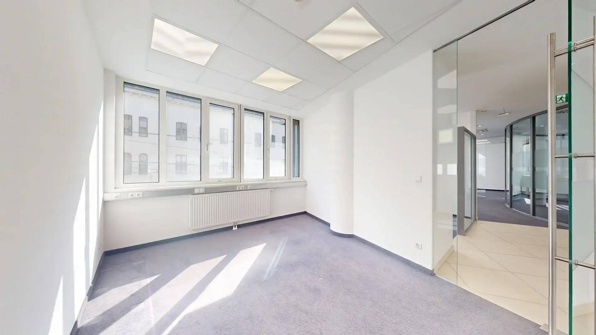 Helles Büro mit Teppichboden, großen Fenstern und viel Tageslicht, ideal für konzentriertes Arbeiten.