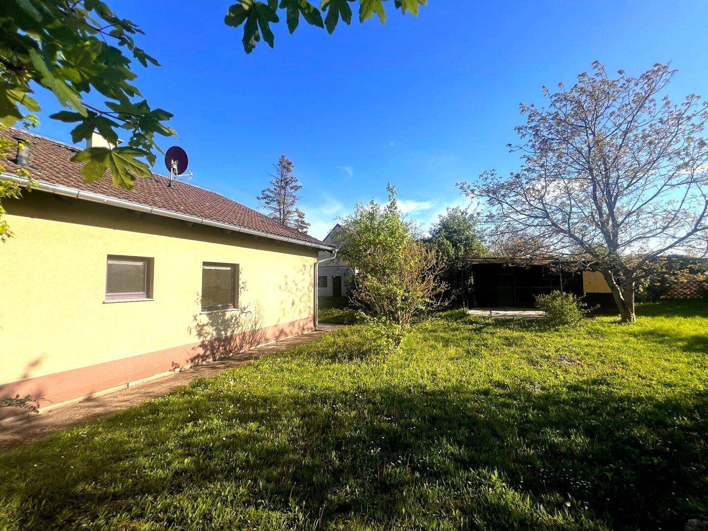 Sonniger Gartenbereich neben dem Haus mit Rasenfläche und verschiedenen Bäumen.