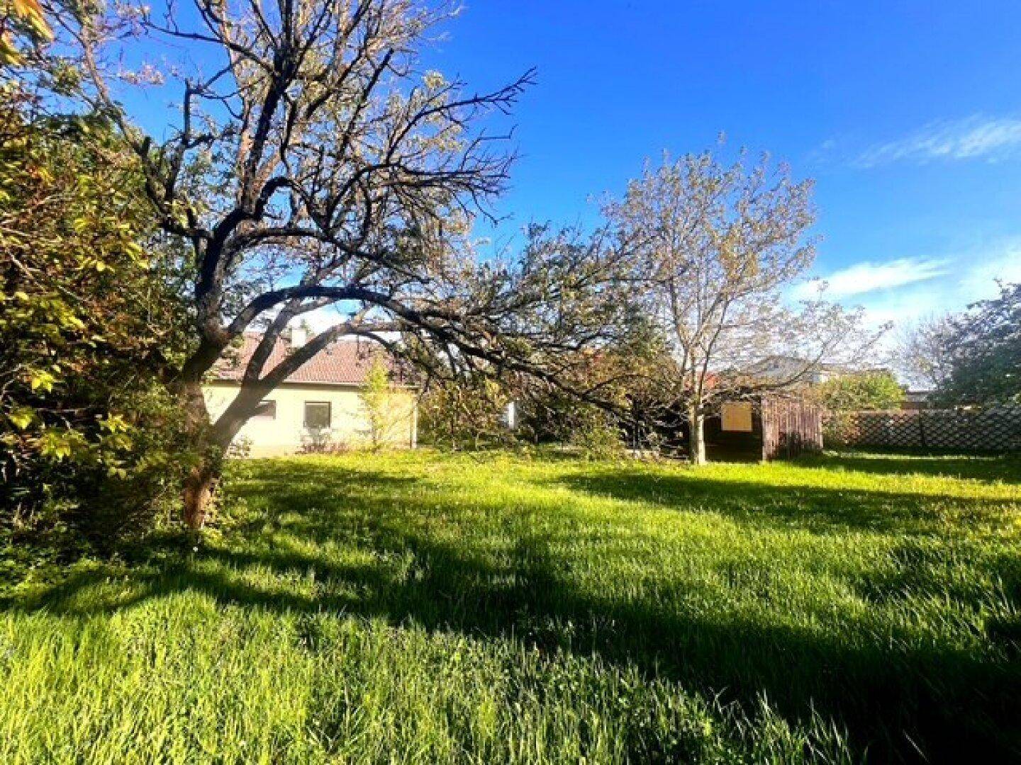 Weitläufiger Garten mit viel Grünfläche, Bäumen und einem Gebäude im Hintergrund.