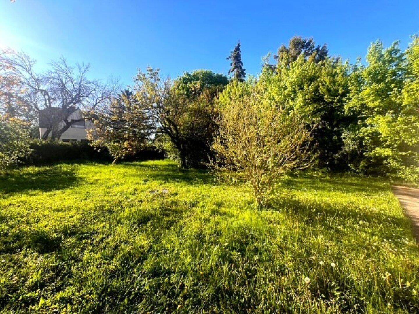 Weitläufige Grünfläche des Gartens mit Bäumen und einem Haus im Hintergrund an einem sonnigen Tag.