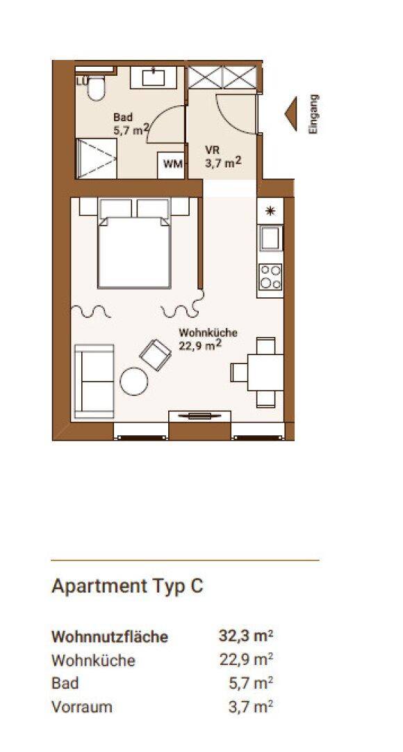 Grundriss eines Apartments mit offenem Wohn-, Schlaf- und Kochbereich sowie einem separaten Badezimmer.