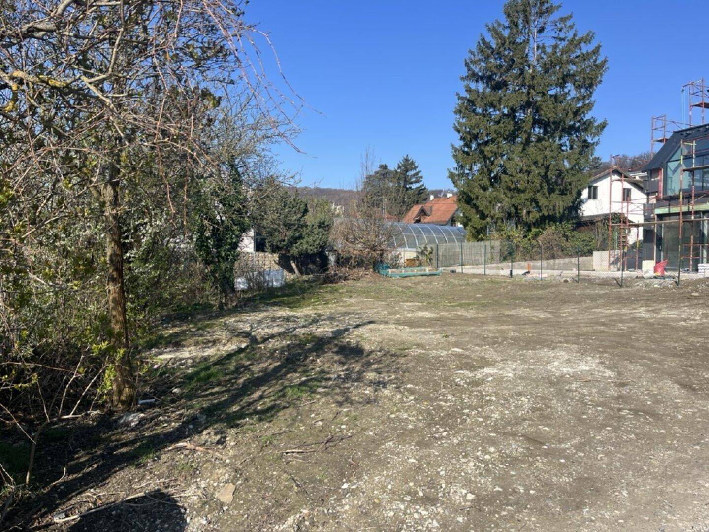 Freies Baugrundstück mit Baumbestand im Hintergrund und sonnigem Wetter.