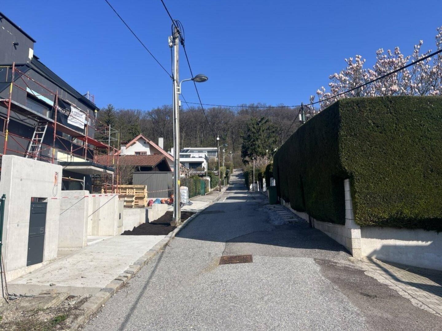 Ruhige Wohnstraße mit Neubauten und üppiger Hecke unter blauem Himmel.