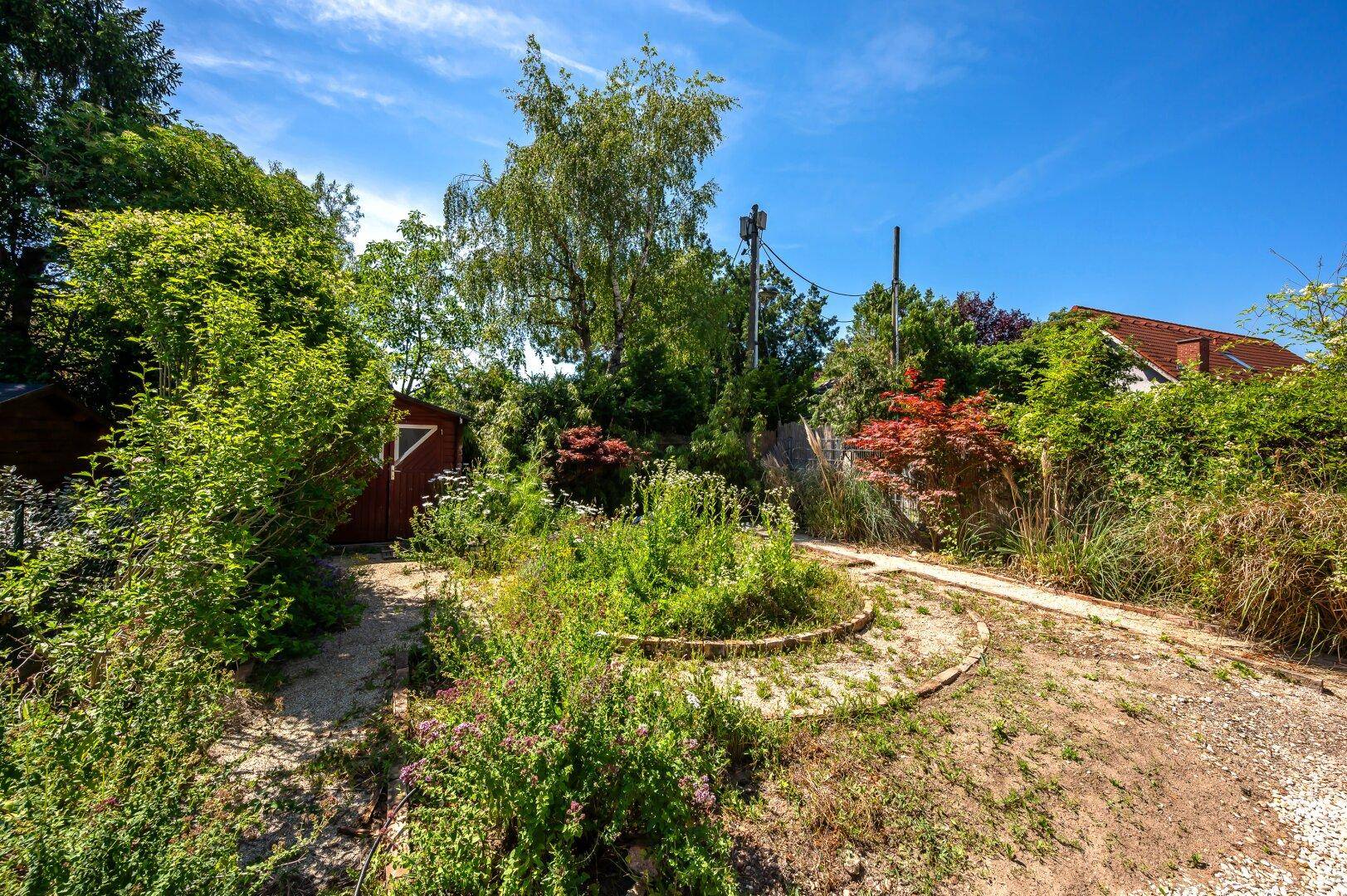 Naturbelassener Gartenbereich mit einem Pfad, vielfältiger Bepflanzung und einem kleinen Schuppen.