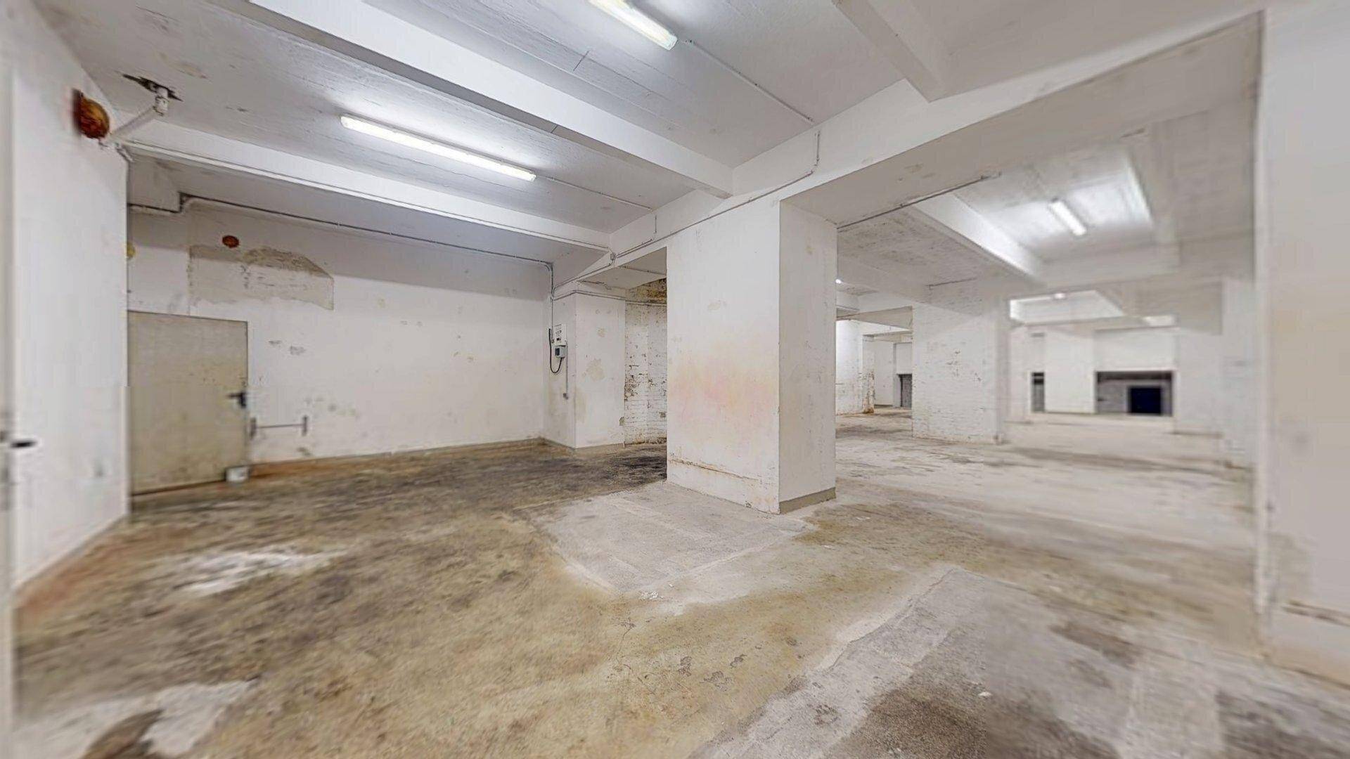 Großer Kellerraum mit tragenden Betonsäulen, Betonboden und funktionaler Deckenbeleuchtung.