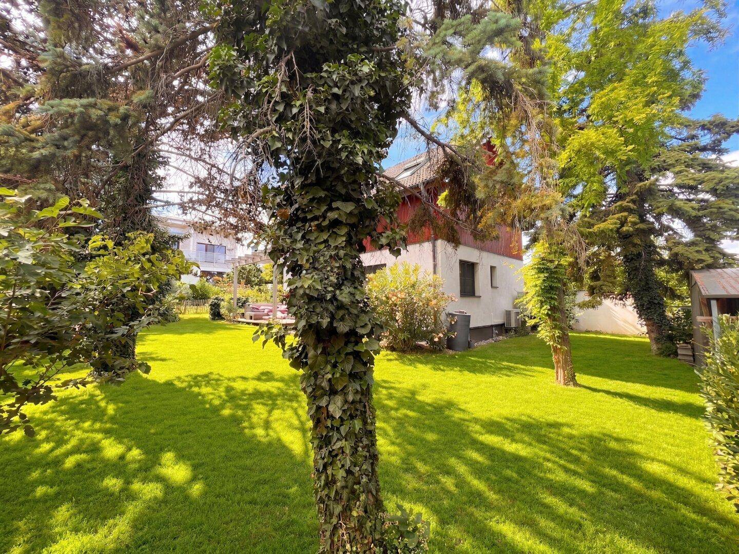 Großer, gepflegter Garten mit altem Baumbestand und viel Grünfläche um das Haus.