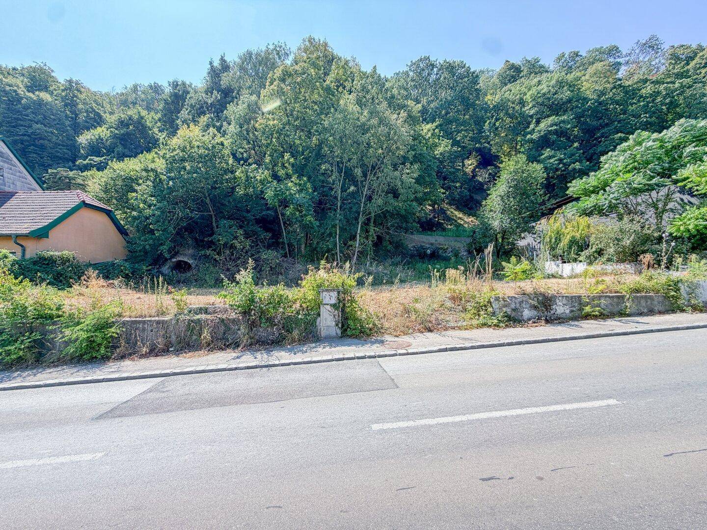 Unbebautes Grundstück mit trockener Vegetation und Blick auf die umliegende Natur und eine Straße.