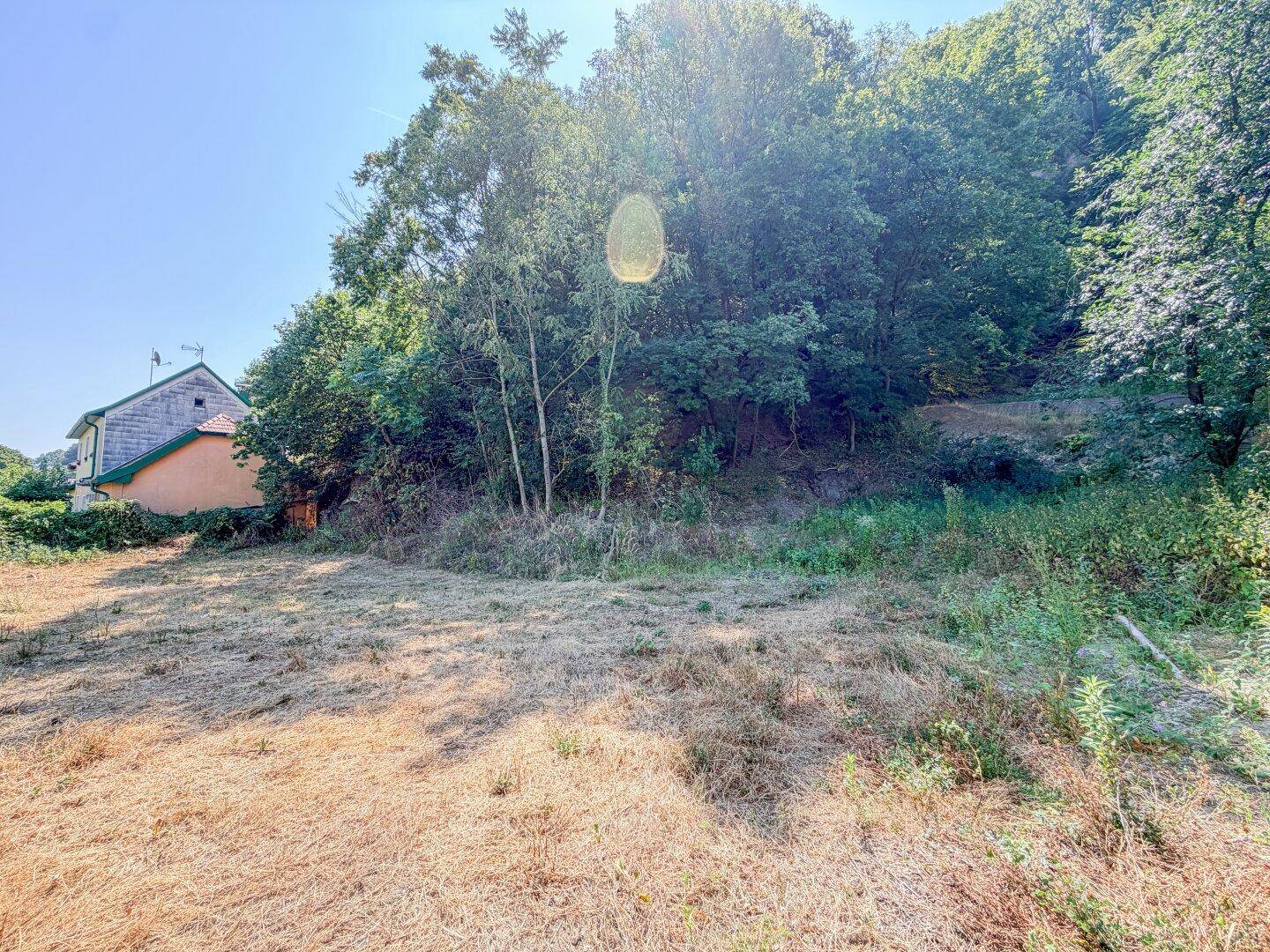 Weitläufiges unbebautes Grundstück mit trockener Grasfläche und bewaldetem Hintergrund unter blauem Himmel.