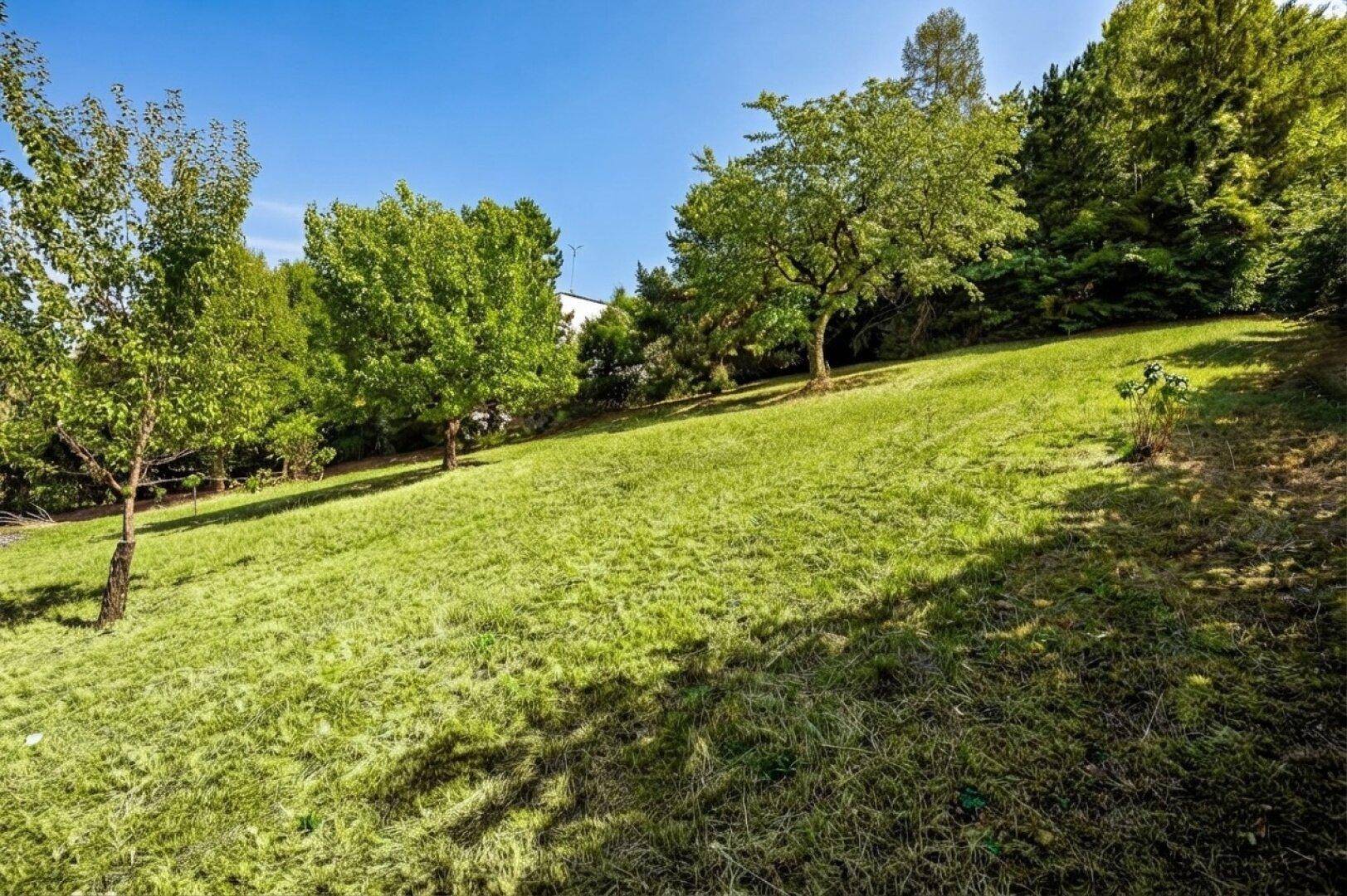 Große, gepflegte Rasenfläche mit Bäumen und viel Grün unter strahlend blauem Himmel.