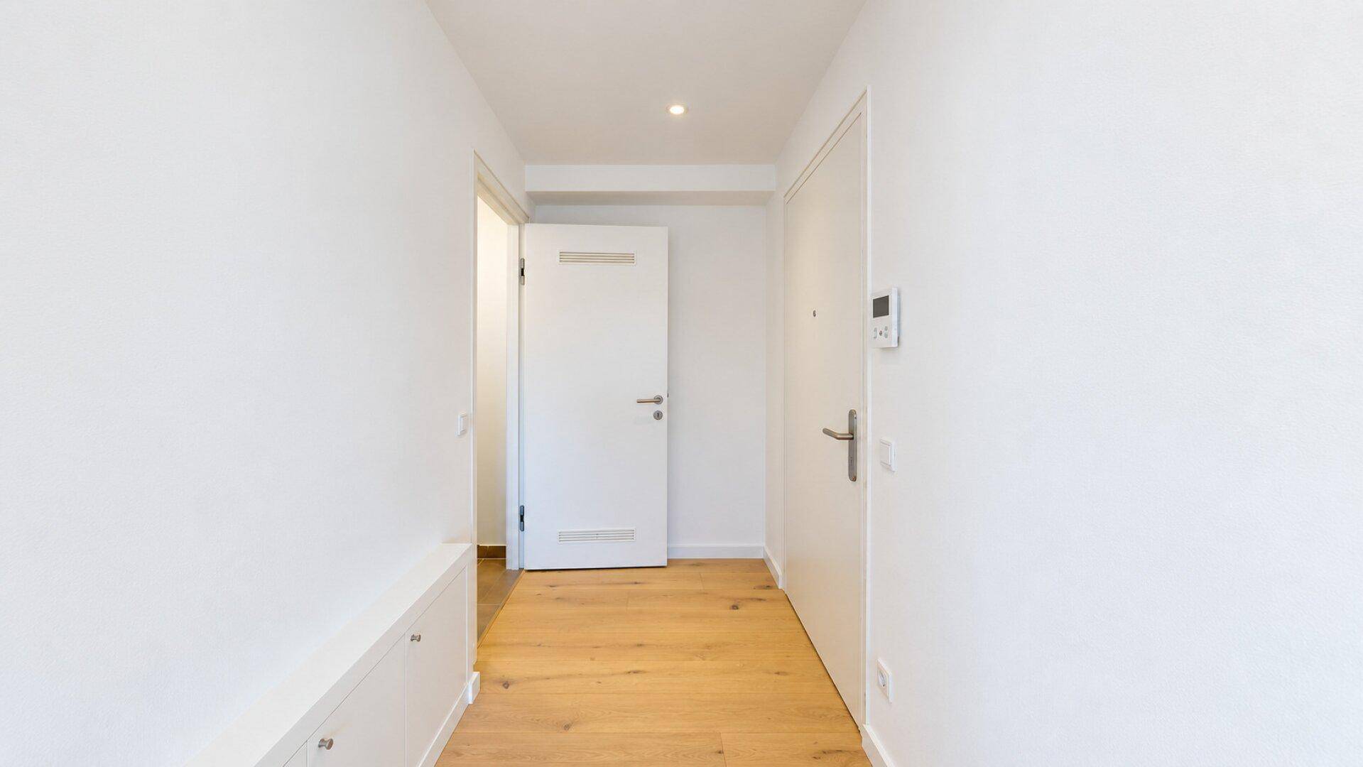 Heller Eingangsbereich mit Holzboden und weiß gestrichenen Wänden, modern und einladend.