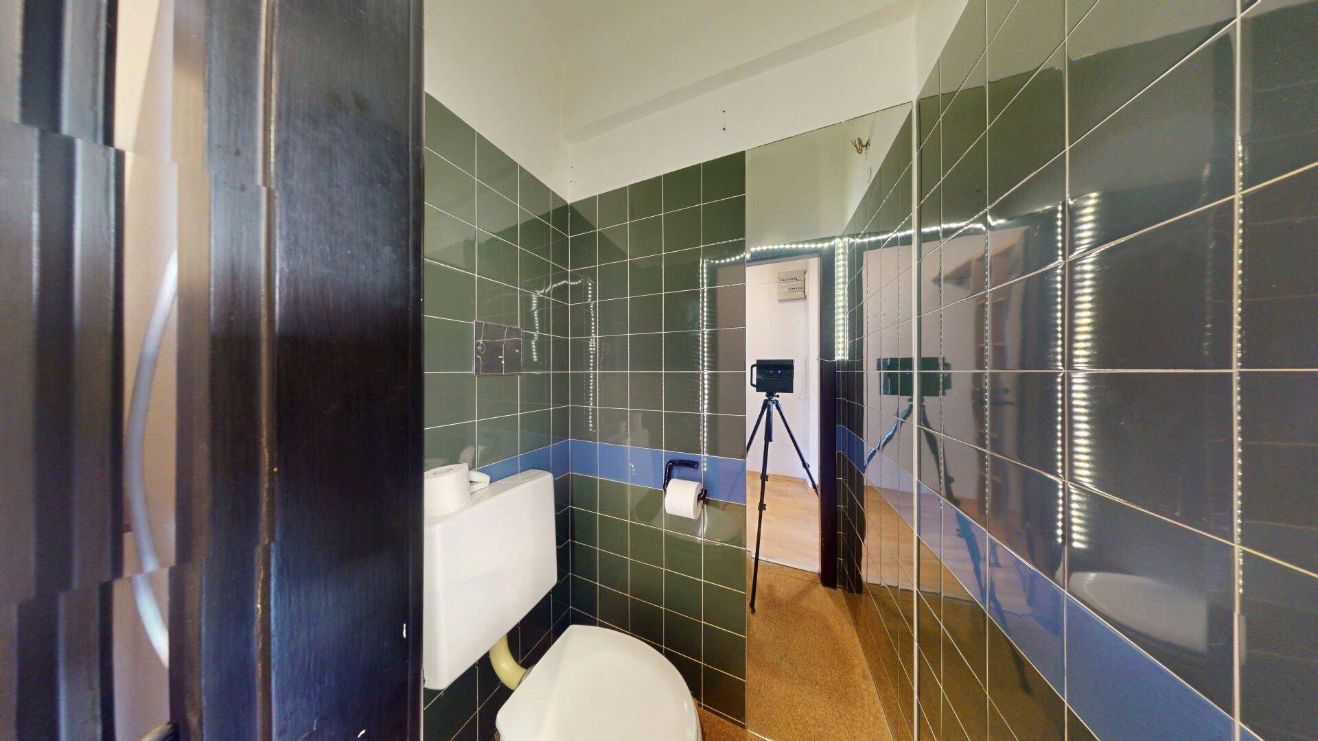Kleines WC mit dunkelgrünen und blauen Fliesen, einer Toilette und einem Spiegel, funktional eingerichtet.