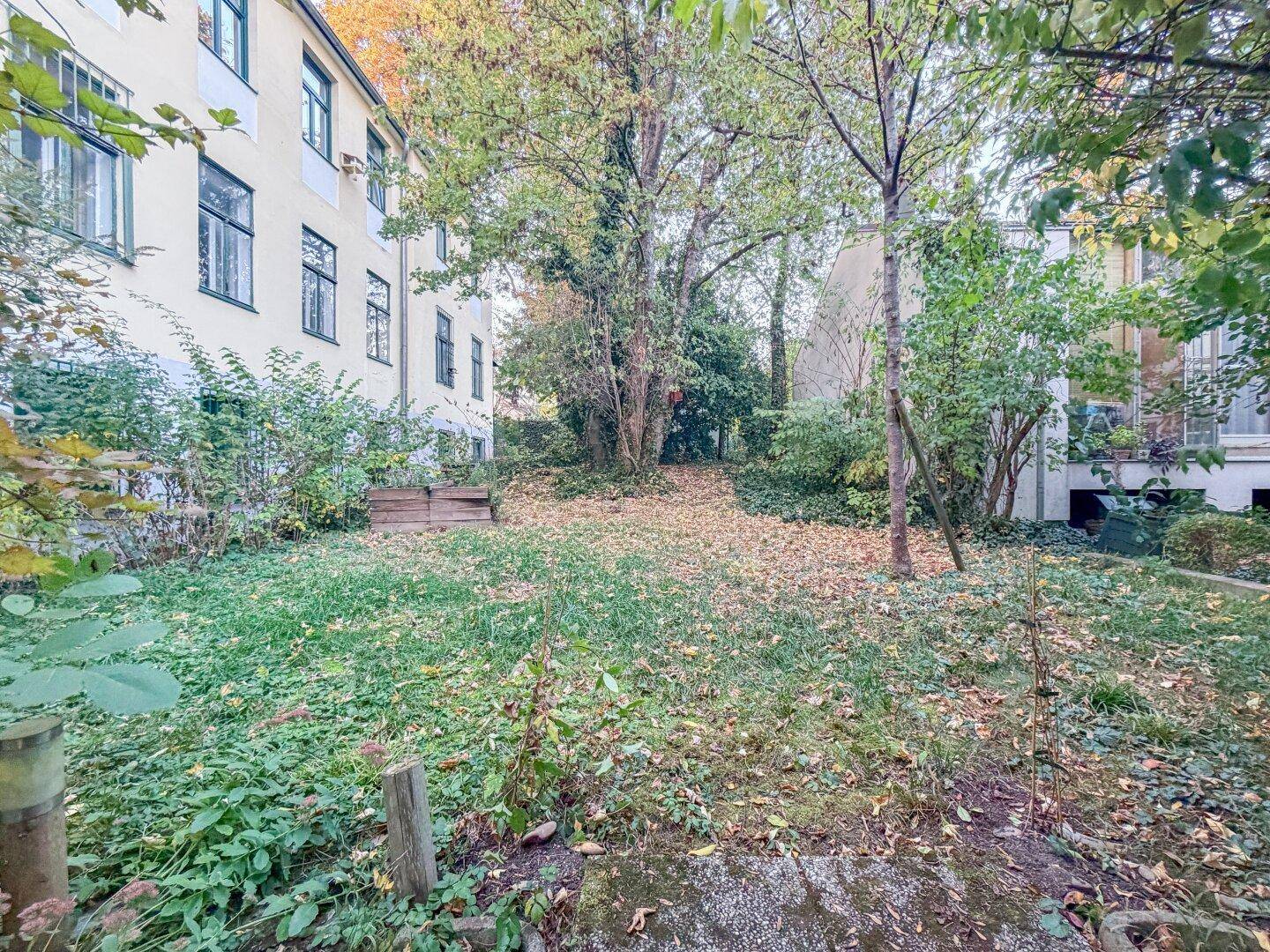 Naturbelassener Gartenbereich mit Bäumen und Sträuchern, umgeben von Gebäuden, bietet Ruhe und Grün.