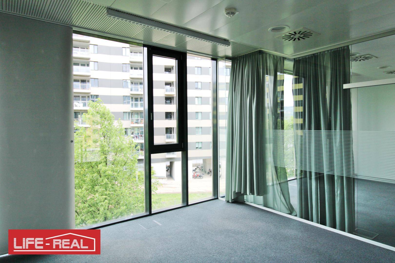 Büro mit Teppichboden, großen Fenstern und Blick auf ein gegenüberliegendes Gebäude, teilweise durch Vorhänge verdeckt.