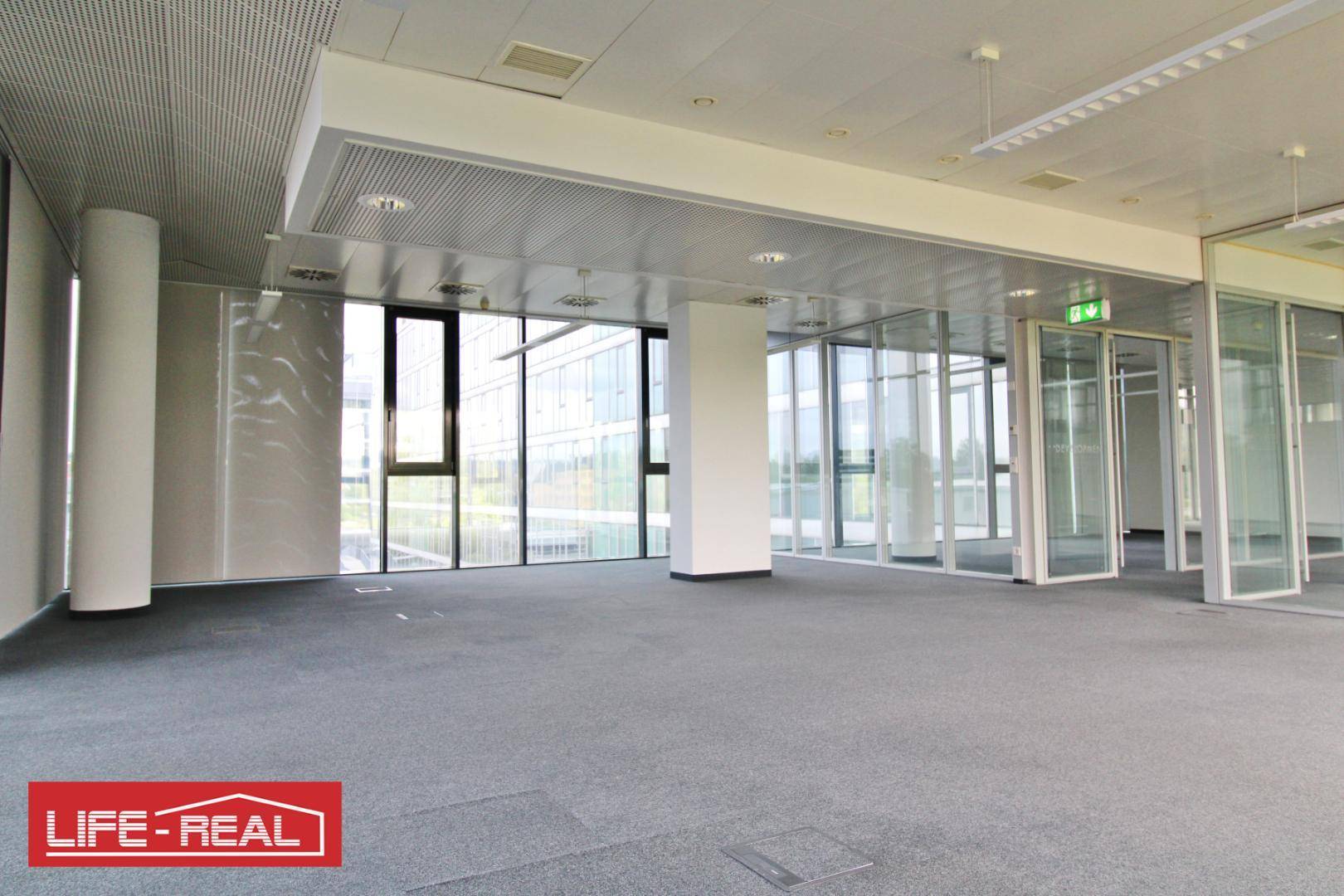 Modernes Büro mit Teppichboden, großen Fenstern und flexiblen Glaswänden, die eine helle und offene Atmosphäre schaffen.