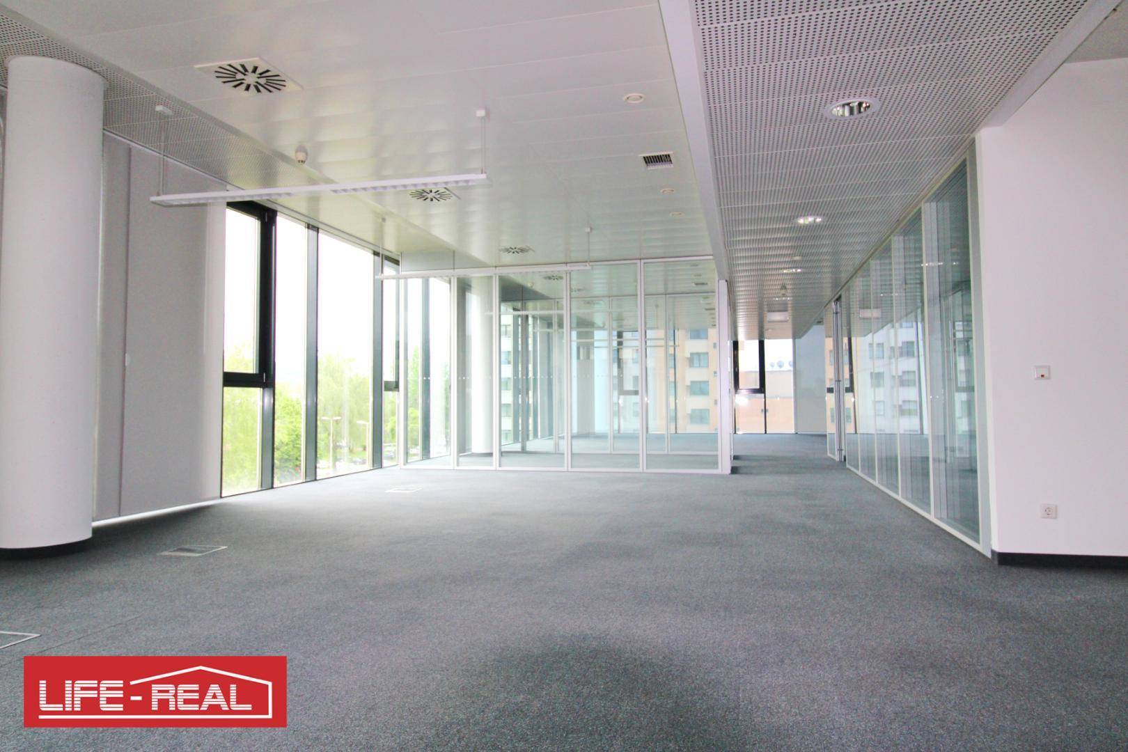 Helles Büro mit Teppichboden, raumhohen Fenstern und modernen Glasabtrennungen für flexible Arbeitsbereiche.
