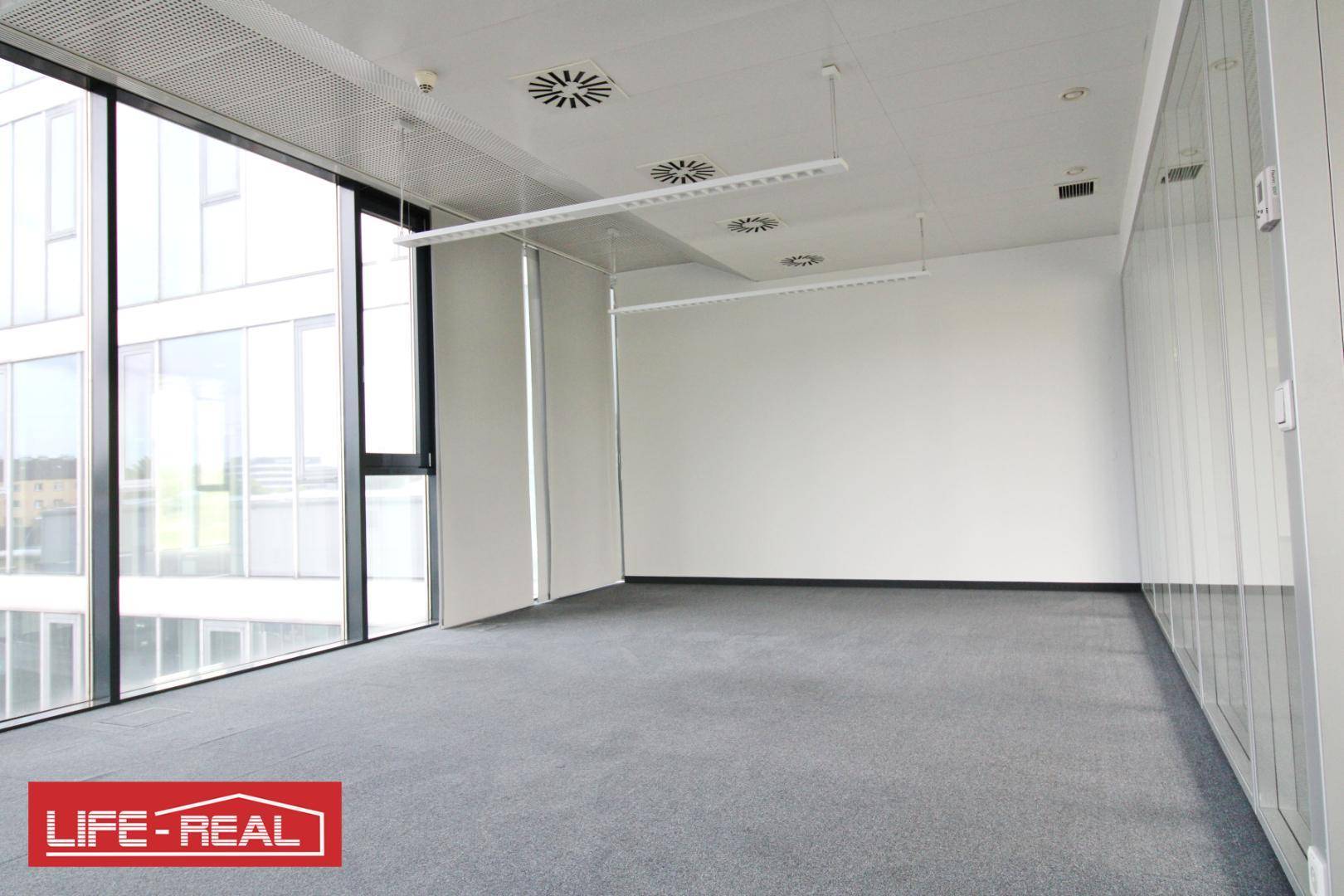 Helles Büro mit Teppichboden, raumhohen Fenstern und weiß gestrichenen Wänden, bereit für individuelle Gestaltung.