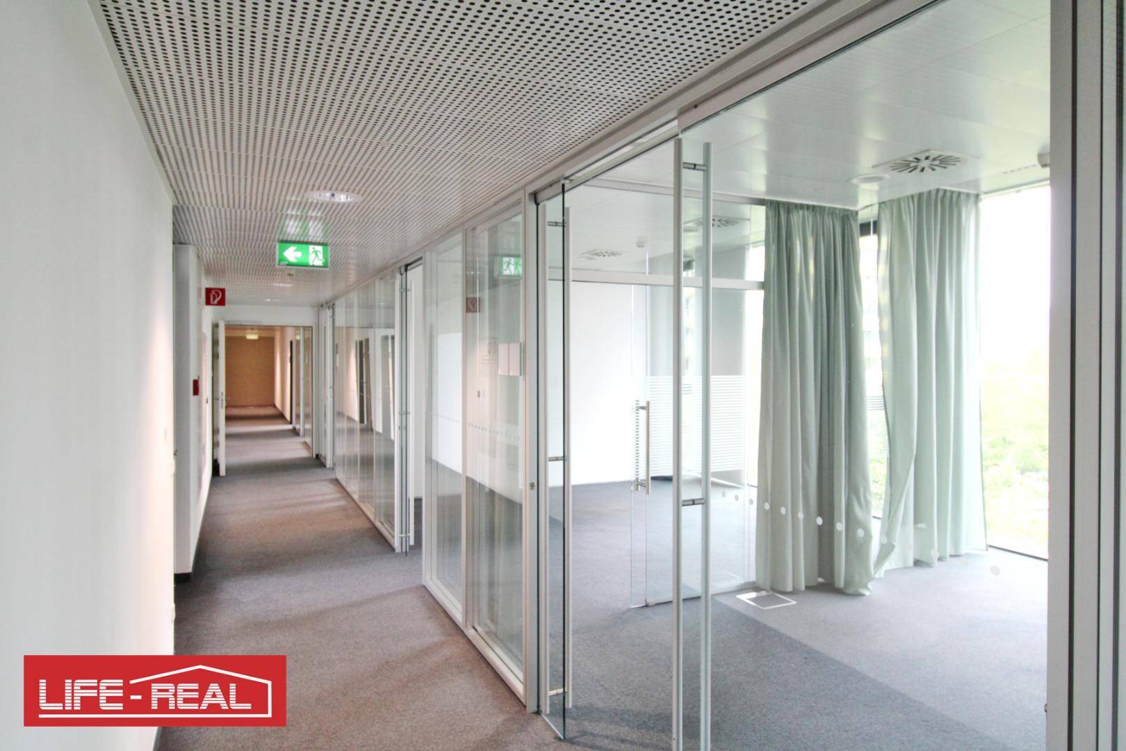 Heller Flur mit Teppichboden und Glaswänden, die den Zugang zu den Büroräumen ermöglichen und Transparenz bieten.