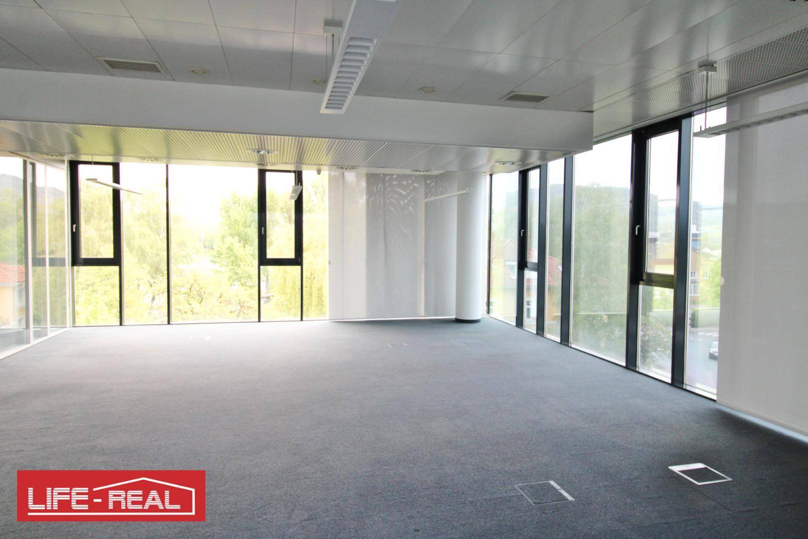Großzügiges Büro mit Teppichboden, raumhohen Fenstern und weitem Blick ins Grüne, ideal für eine inspirierende Arbeitsumgebung.