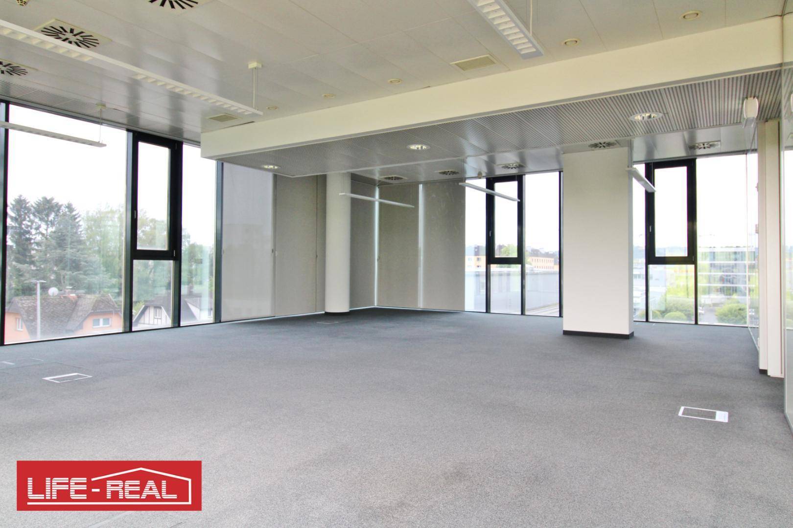 Weitläufiges Büro mit Teppichboden, raumhohen Fenstern und Blick ins Grüne, perfekt für eine angenehme Arbeitsatmosphäre.