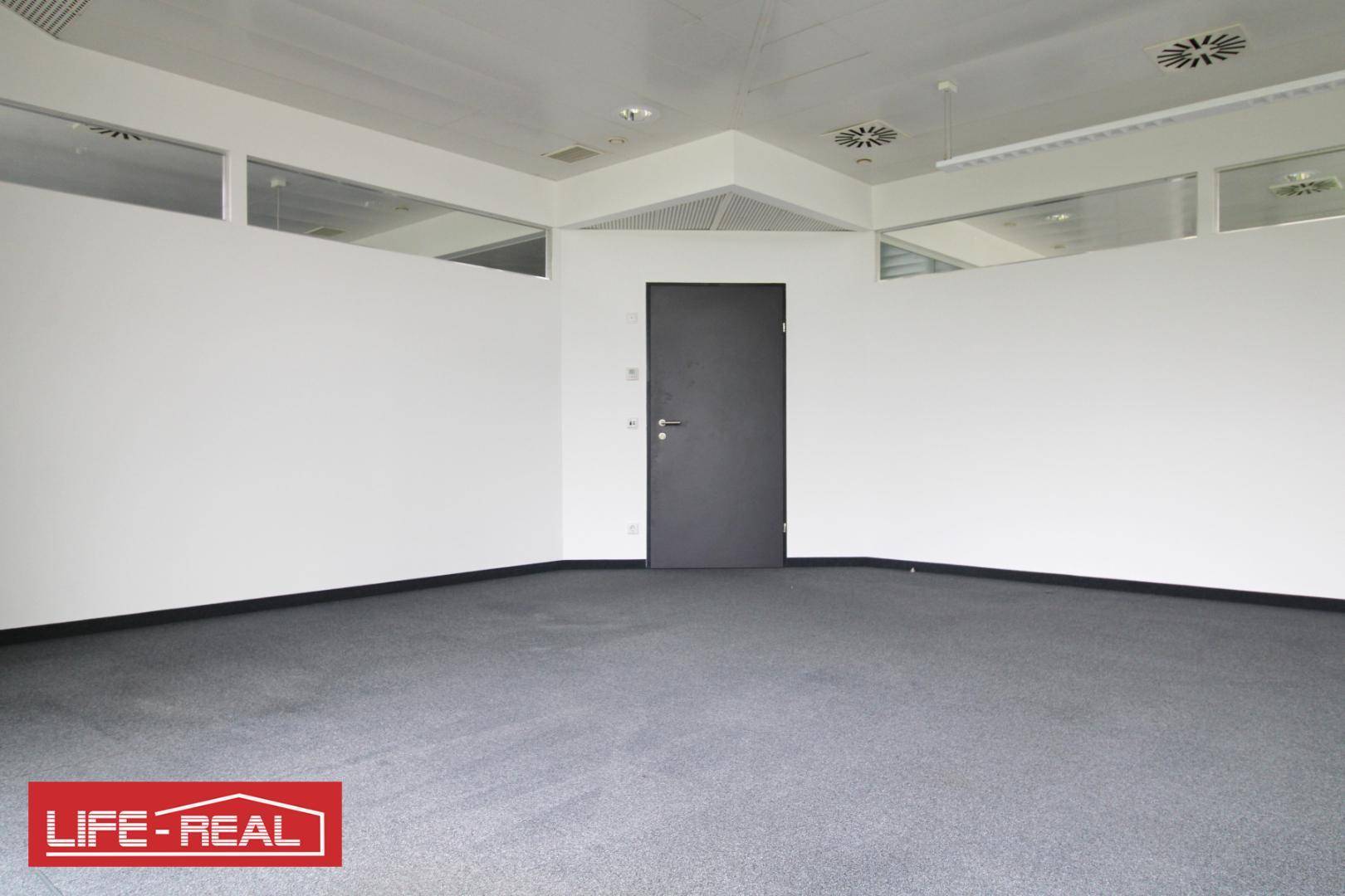 Leeres Büro mit Teppichboden und einer modernen Tür, bereit für individuelle Einrichtung und Nutzung.
