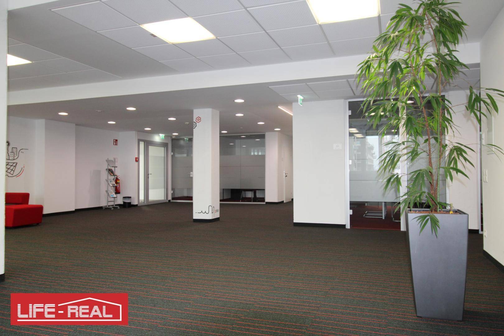 Geräumiger, offener Bürobereich mit Teppichboden, Säulen und großen Pflanzen, ideal für flexible Arbeitsplatzgestaltung.