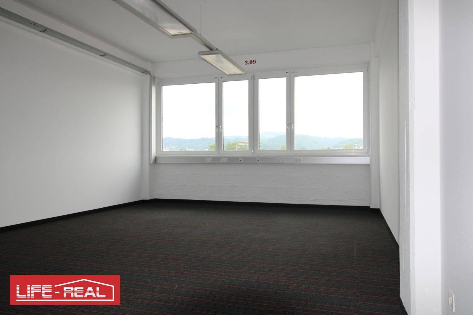 Leeres Büro mit Teppichboden und großen Fenstern mit Blick ins Grüne.