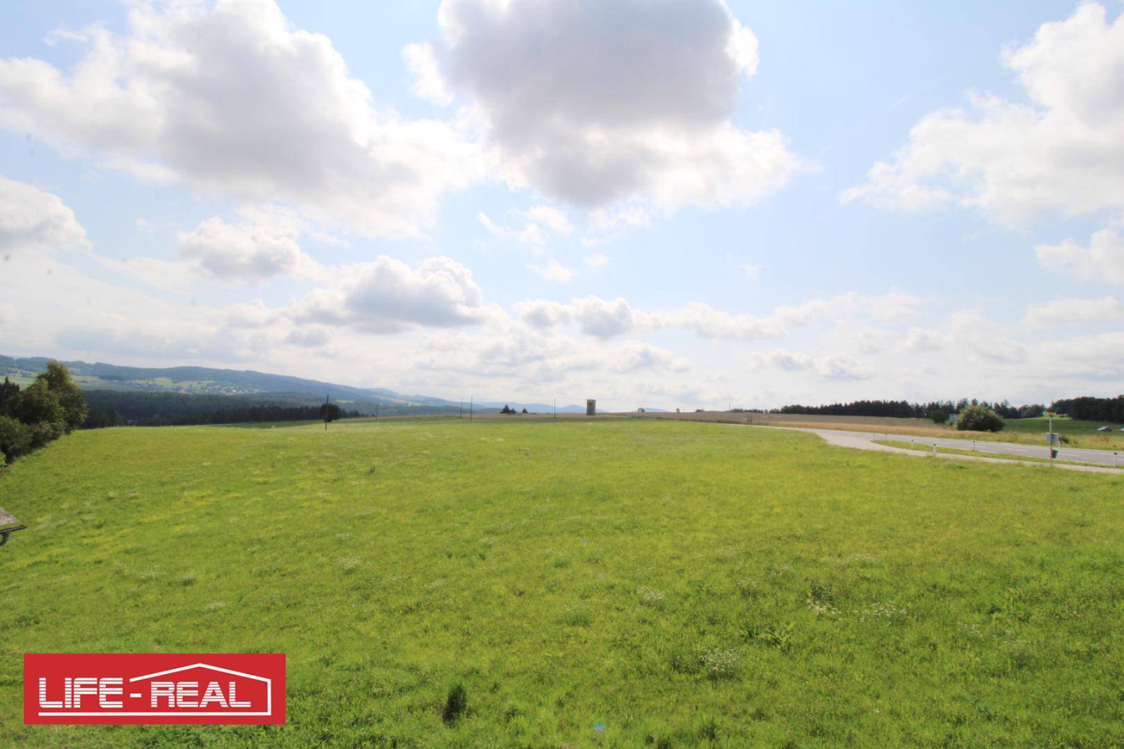 Weitläufige grüne Landschaft mit Feldern und Hügeln unter blauem Himmel.