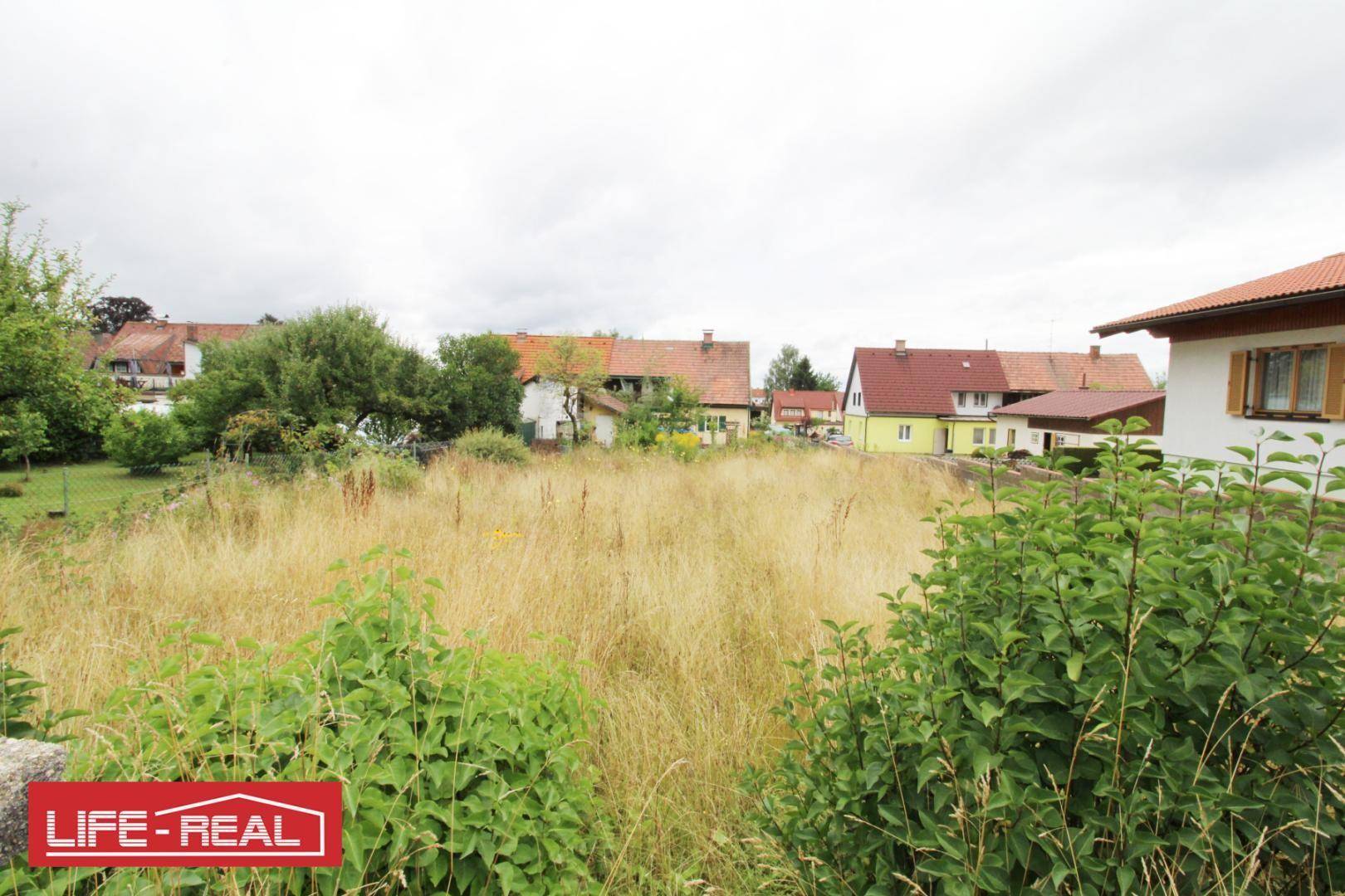 Großes, unbebautes Grundstück mit hohem Gras und Blick auf die umliegende Wohnbebauung.