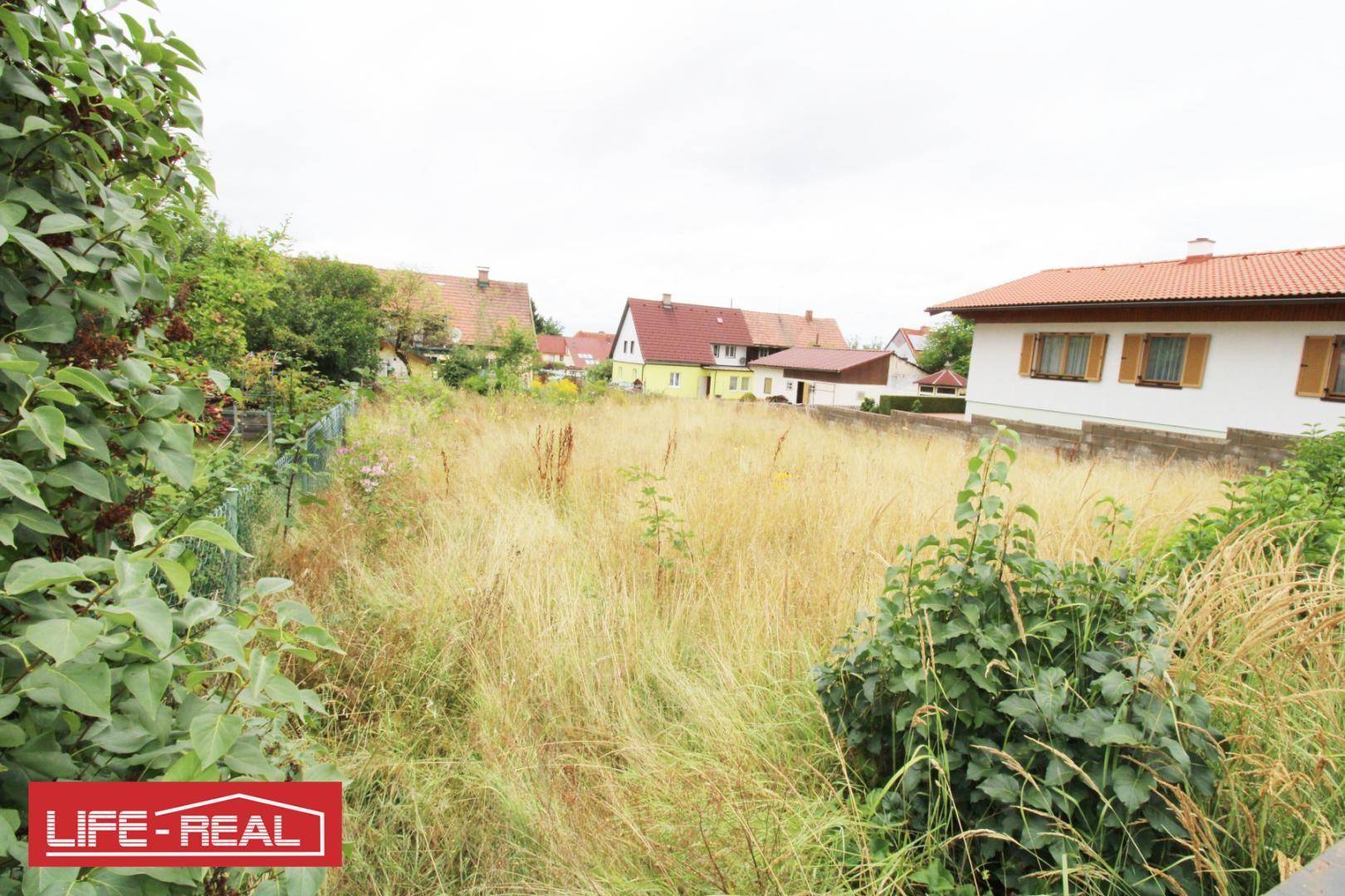 Unbebautes Grundstück mit üppigem Gras und angrenzenden Gärten sowie Wohnhäusern im Hintergrund.