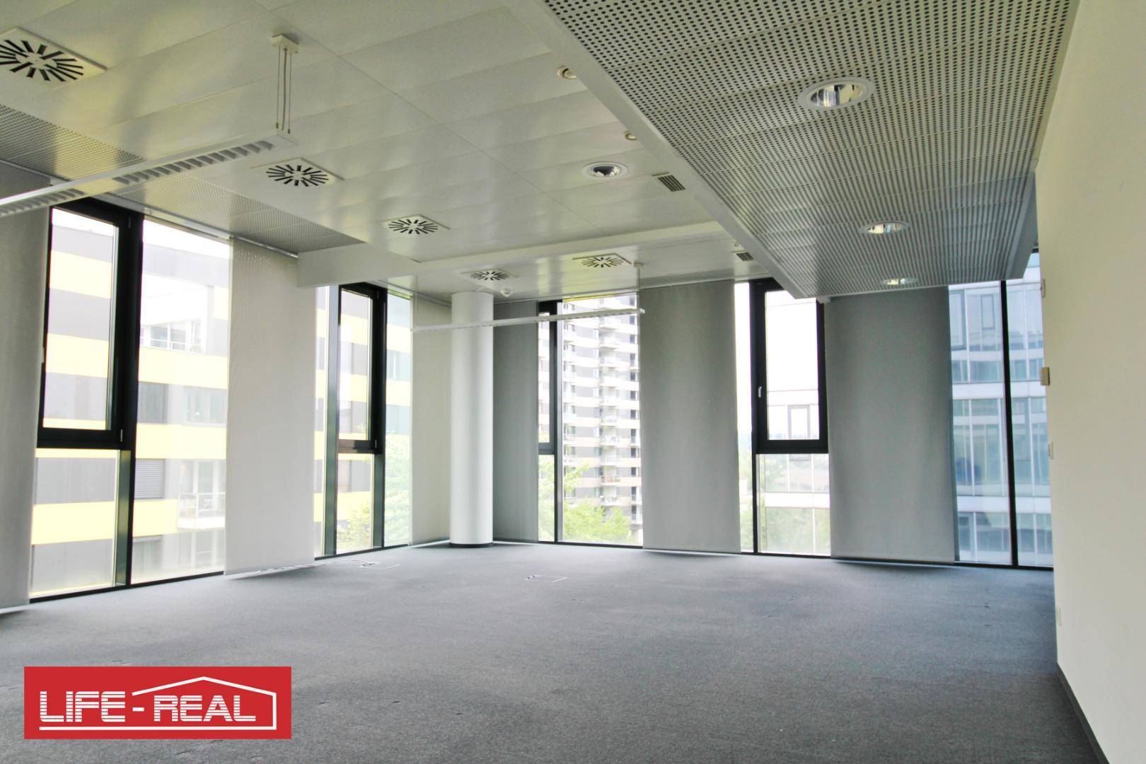 Geräumiges, leeres Büro mit Teppichboden und großen Fenstern, bietet einen weiten Blick auf die Umgebung.