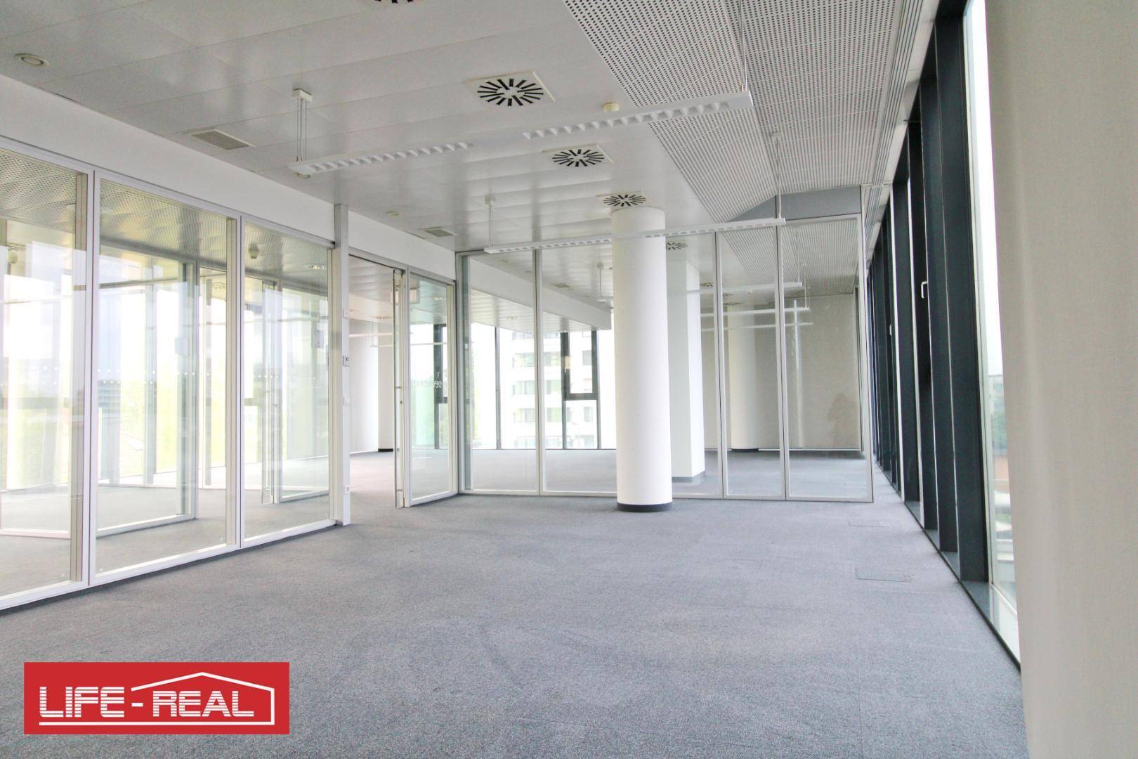 Moderner Bürobereich mit Teppichboden und Glaswänden, die separate Arbeitsbereiche schaffen.