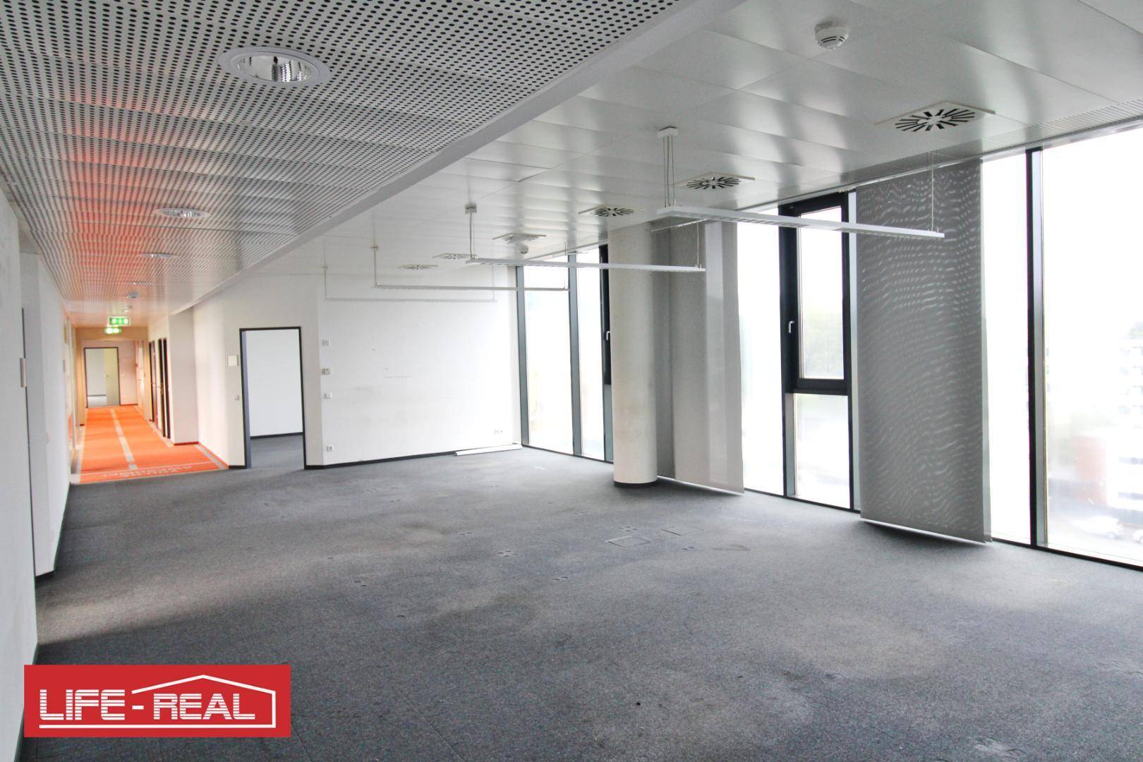 Heller Bürobereich mit Teppichboden und angrenzendem Flur, ausgestattet mit großen Fenstern für viel Tageslicht.
