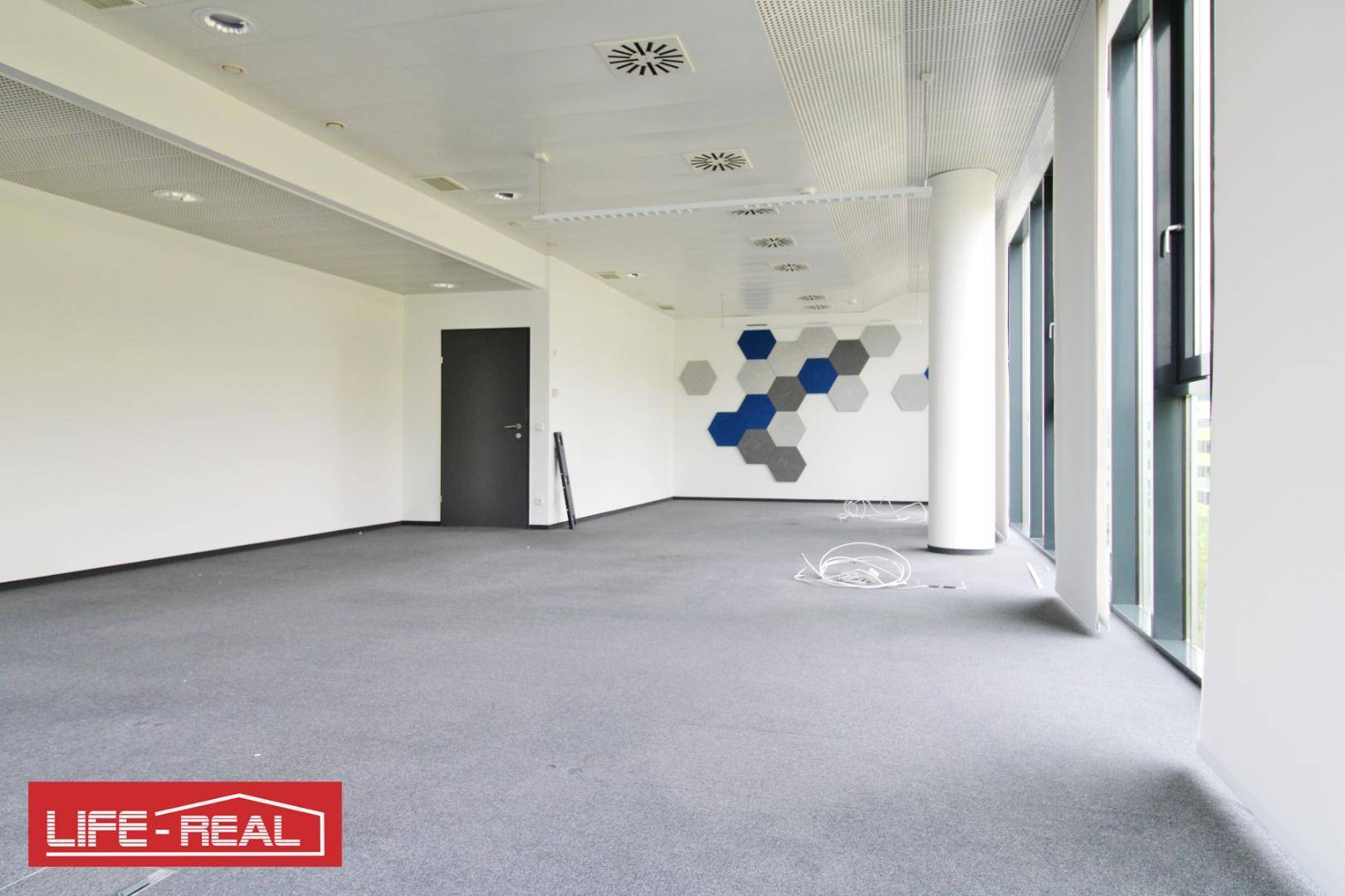 Geräumiges, leeres Büro mit Teppichboden und weißen Wänden, ideal für flexible Bürokonzepte.
