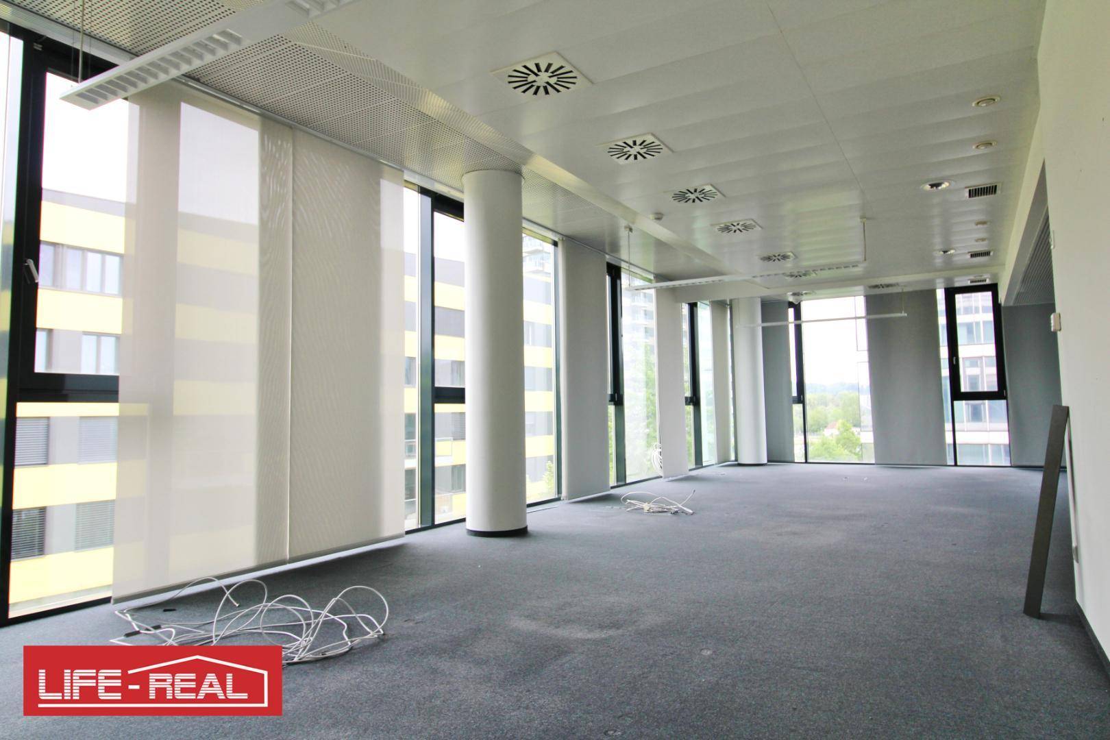 Heller, leerer Büroraum mit Teppichboden und großen Fenstern, die viel Tageslicht hereinlassen.