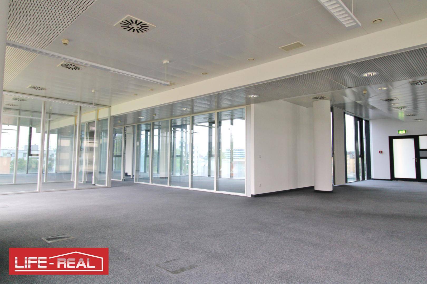 Geräumiges Büro mit Teppichboden und Glaswänden, bietet flexible Gestaltungsmöglichkeiten für Arbeitsbereiche.