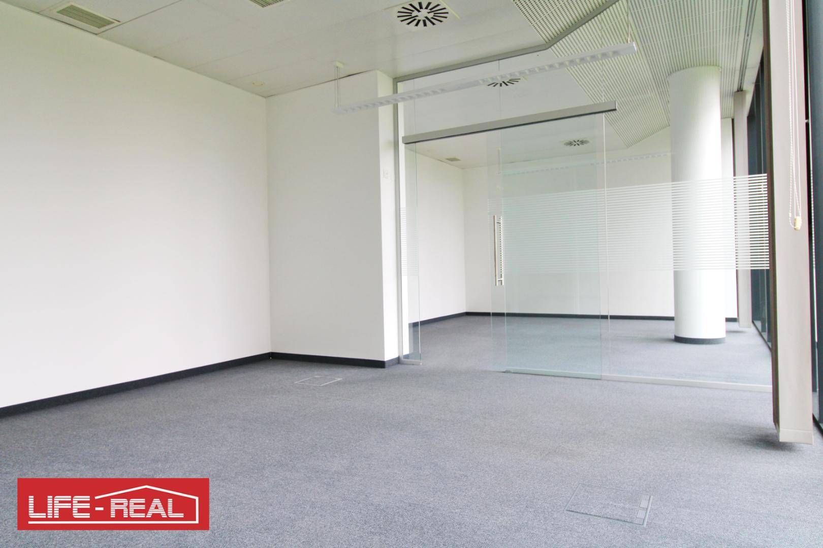 Heller Bürobereich mit Teppichboden und Glaswänden, die separate Arbeitsbereiche schaffen.